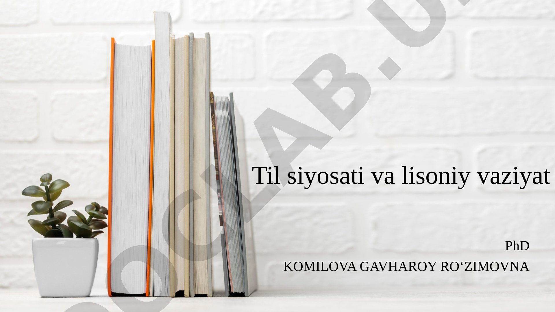 Til siyosati va lisoniy vaziyat