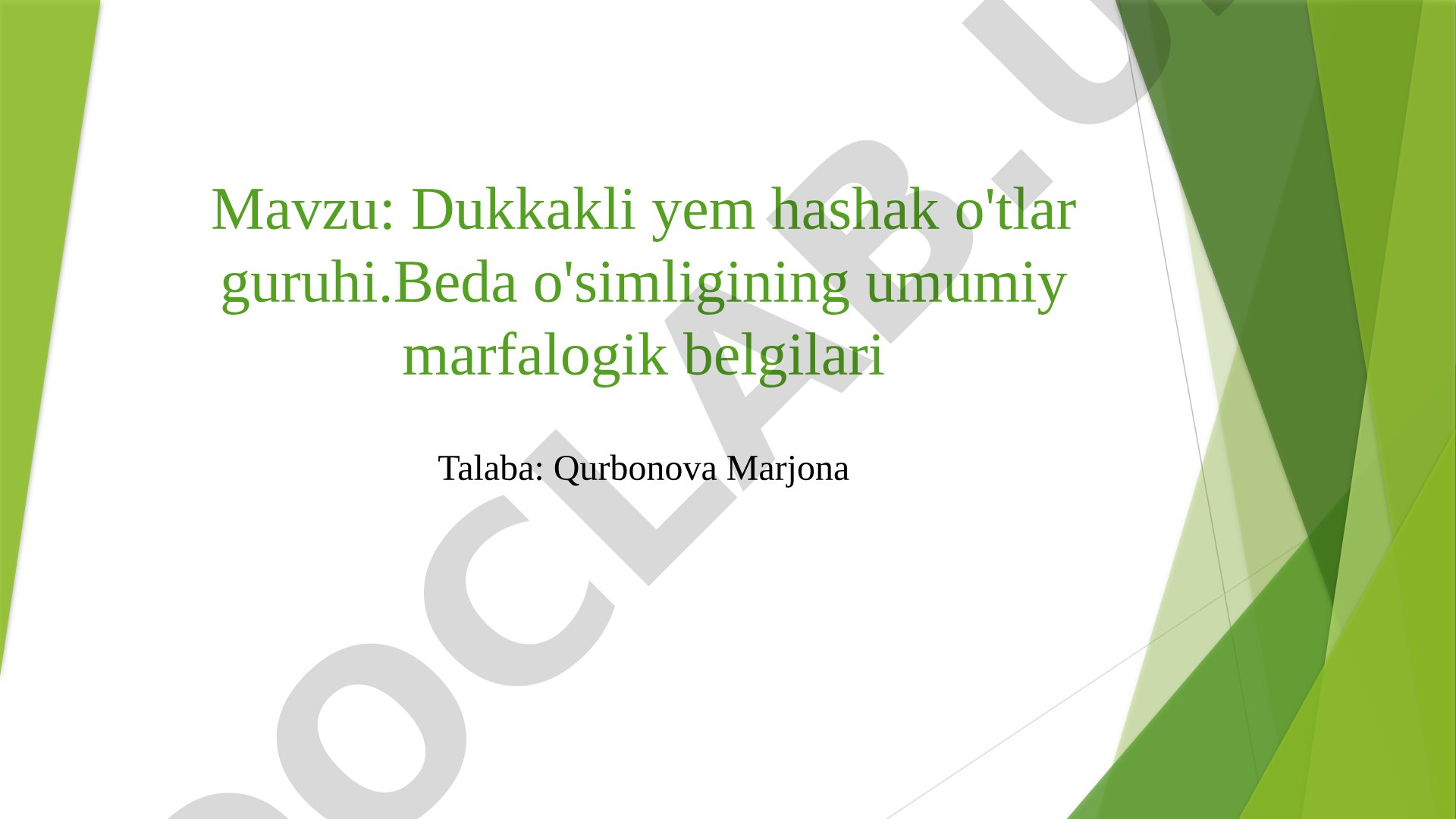 Dukkakli yem hashak o'tlar guruhi. Beda o'simligining umumiy marfalogik belgilari