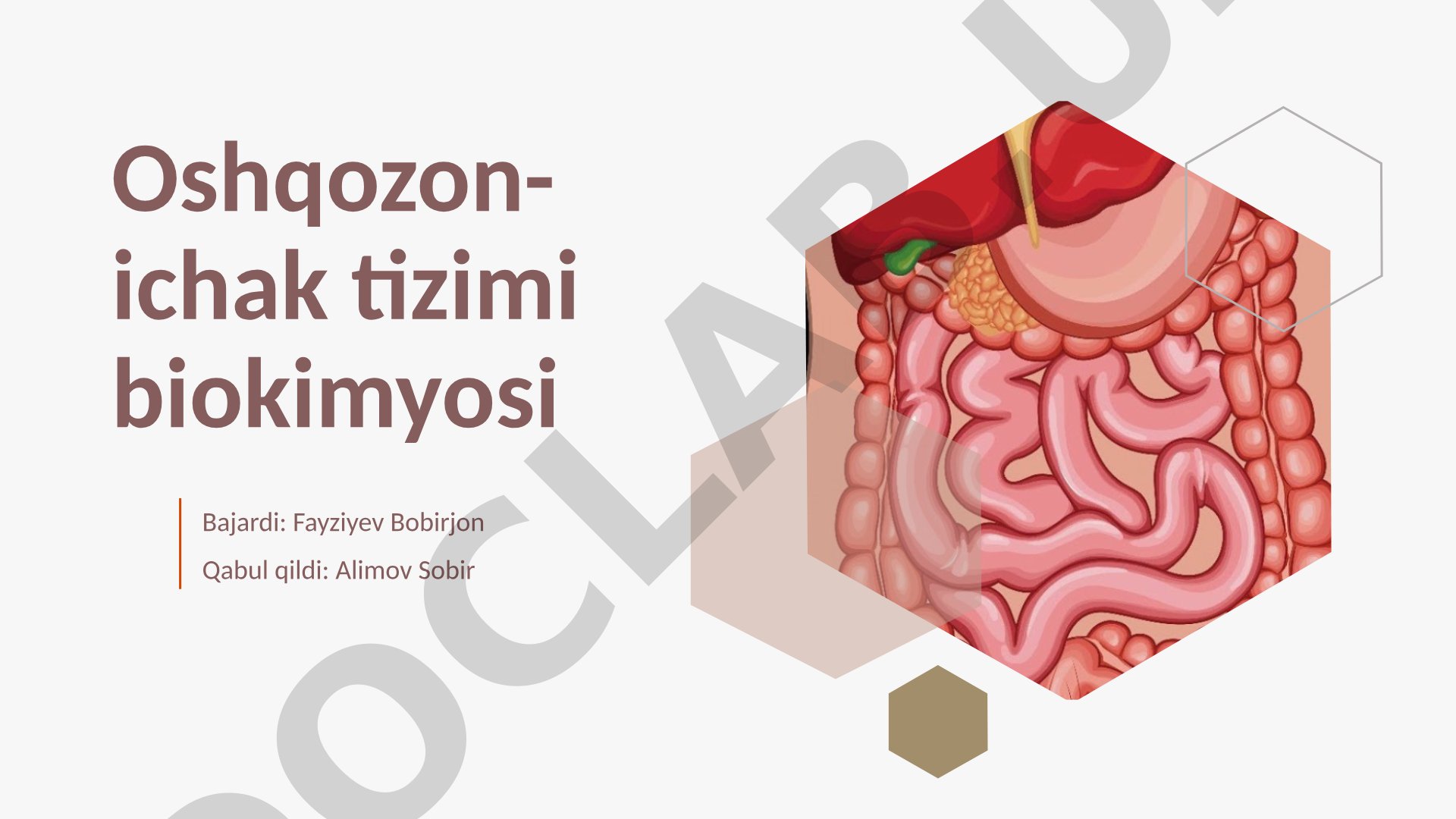 Oshqozon-ichak tizimi biokimyosi