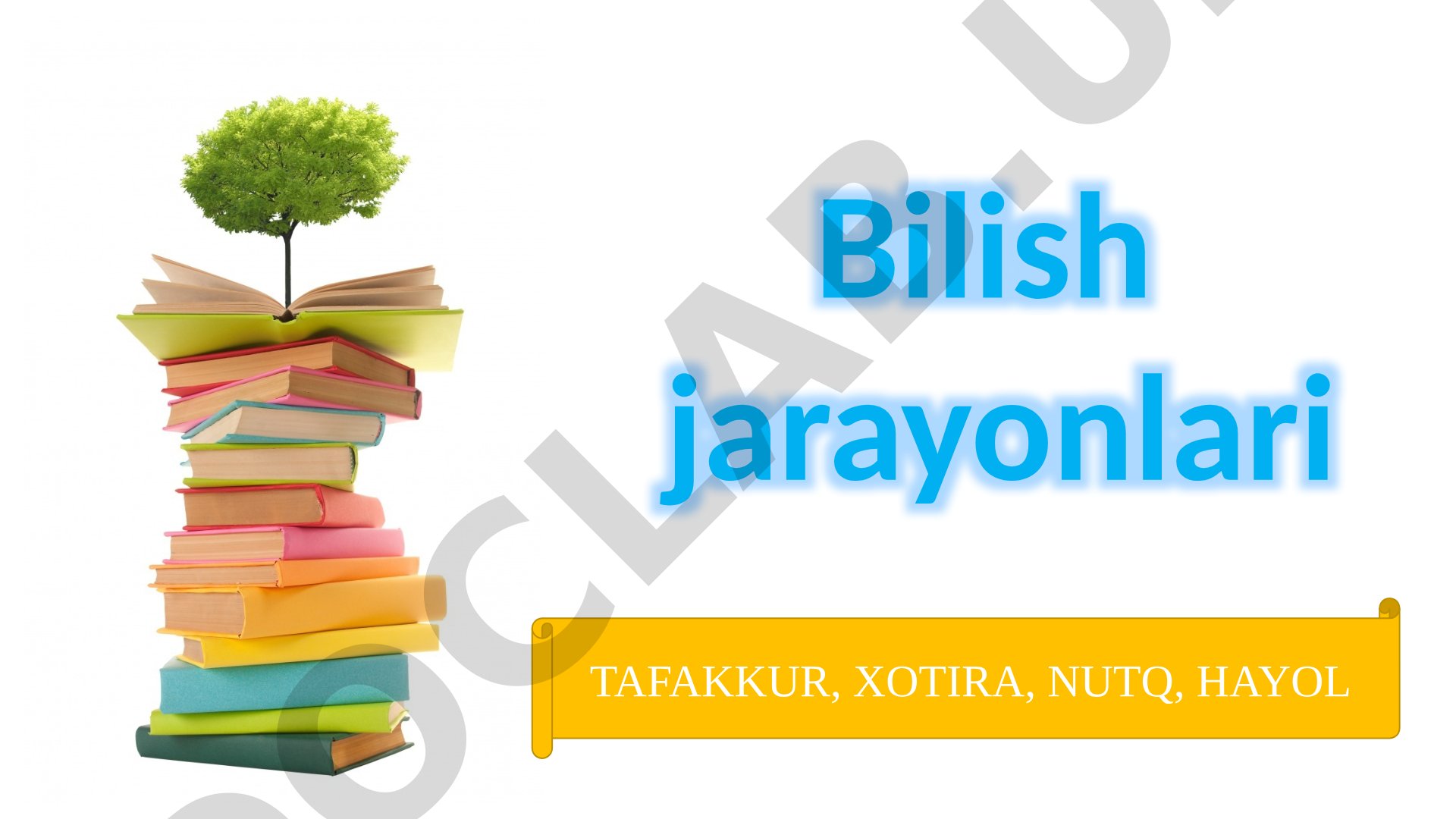 Bilish jarayonlari: tafakkur, xotira, nutq, hayol