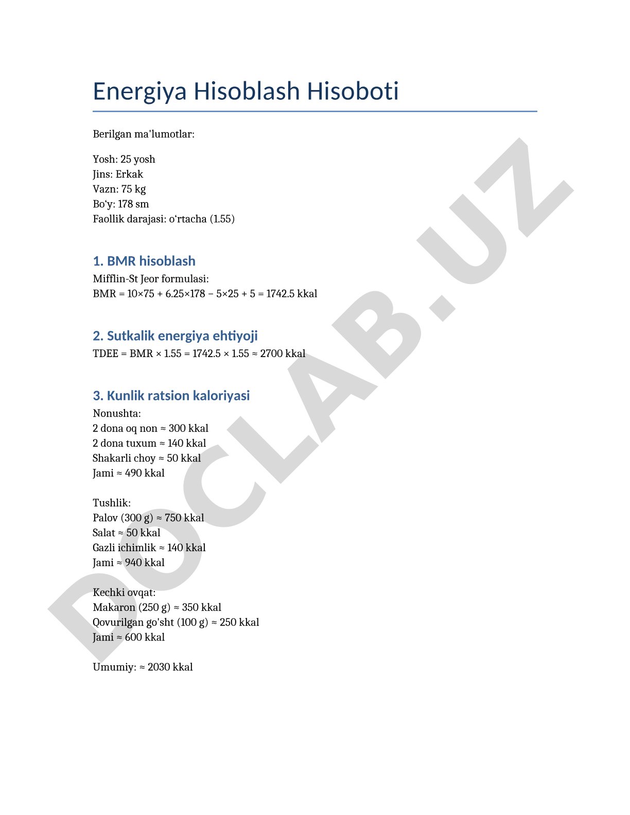 Energiya hisoblash hisoboti