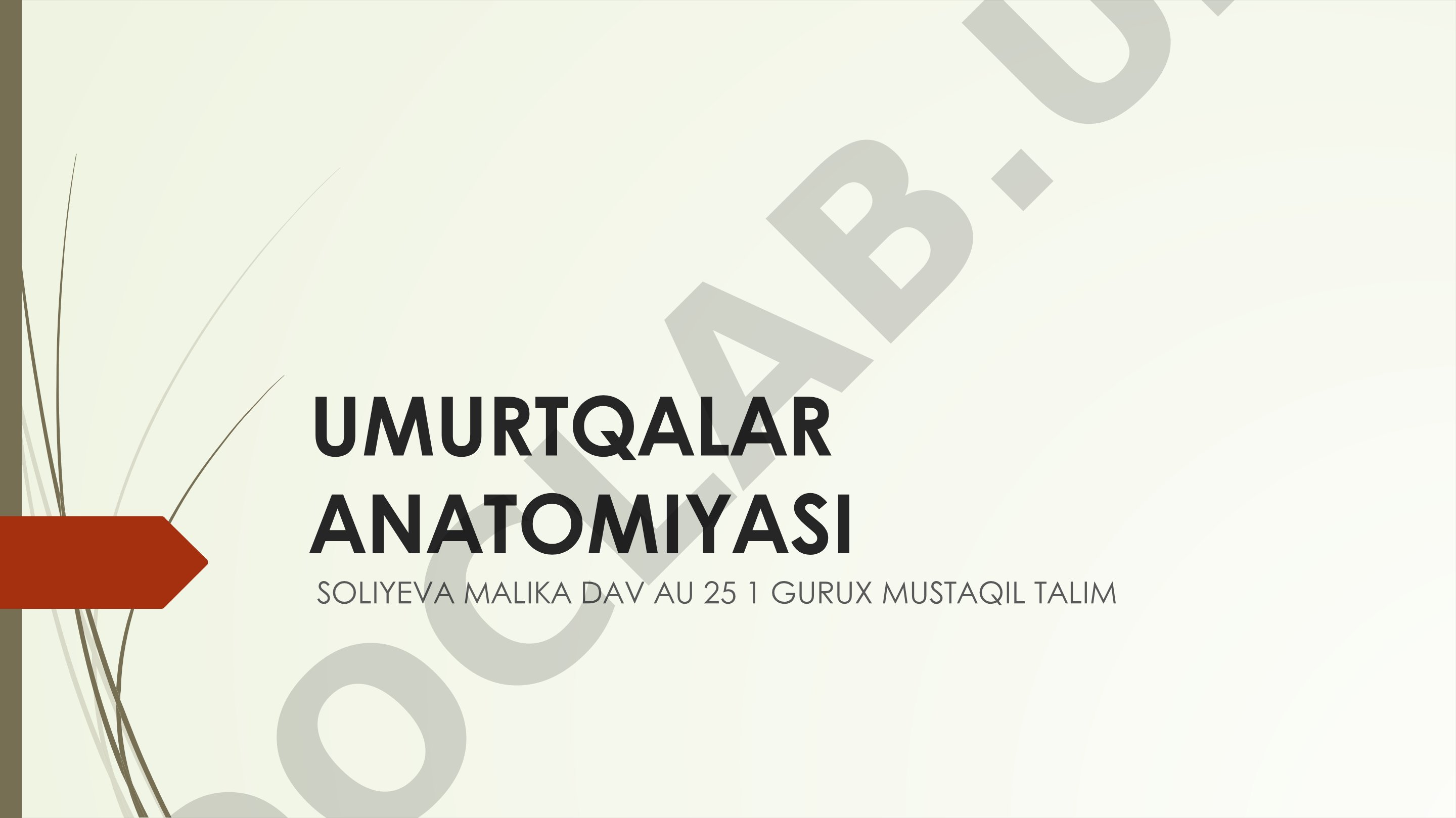 Umurtqalar anatomiyasi va tuzilishi