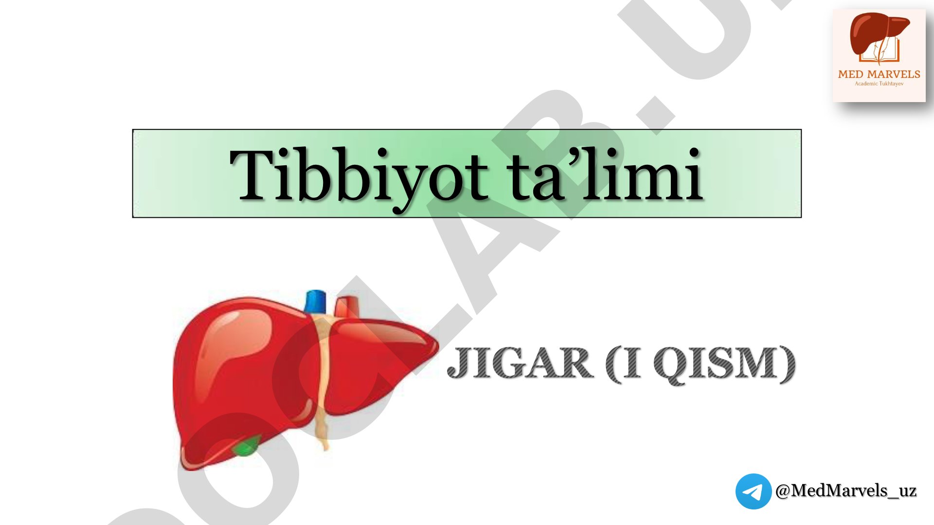 Jigar anatomiyasi, gistologiyasi va fiziologiyasi
