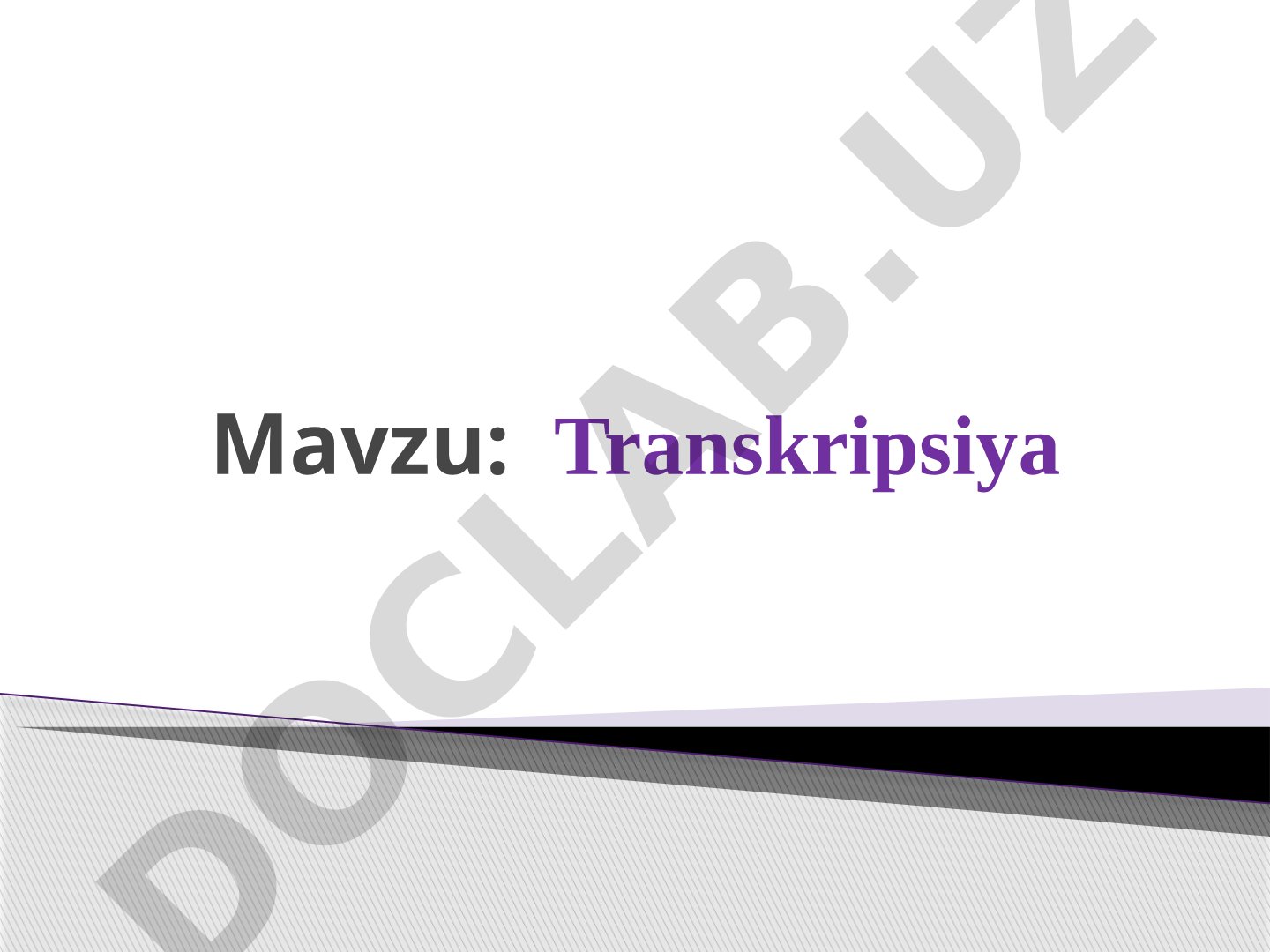 Transkripsiya