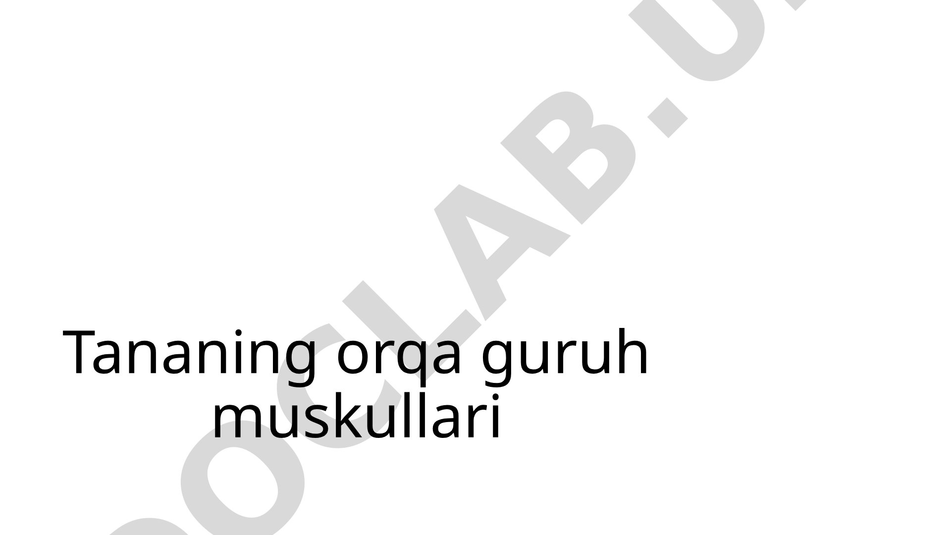 Tananing orqa guruh muskullari tuzilishi va turlari