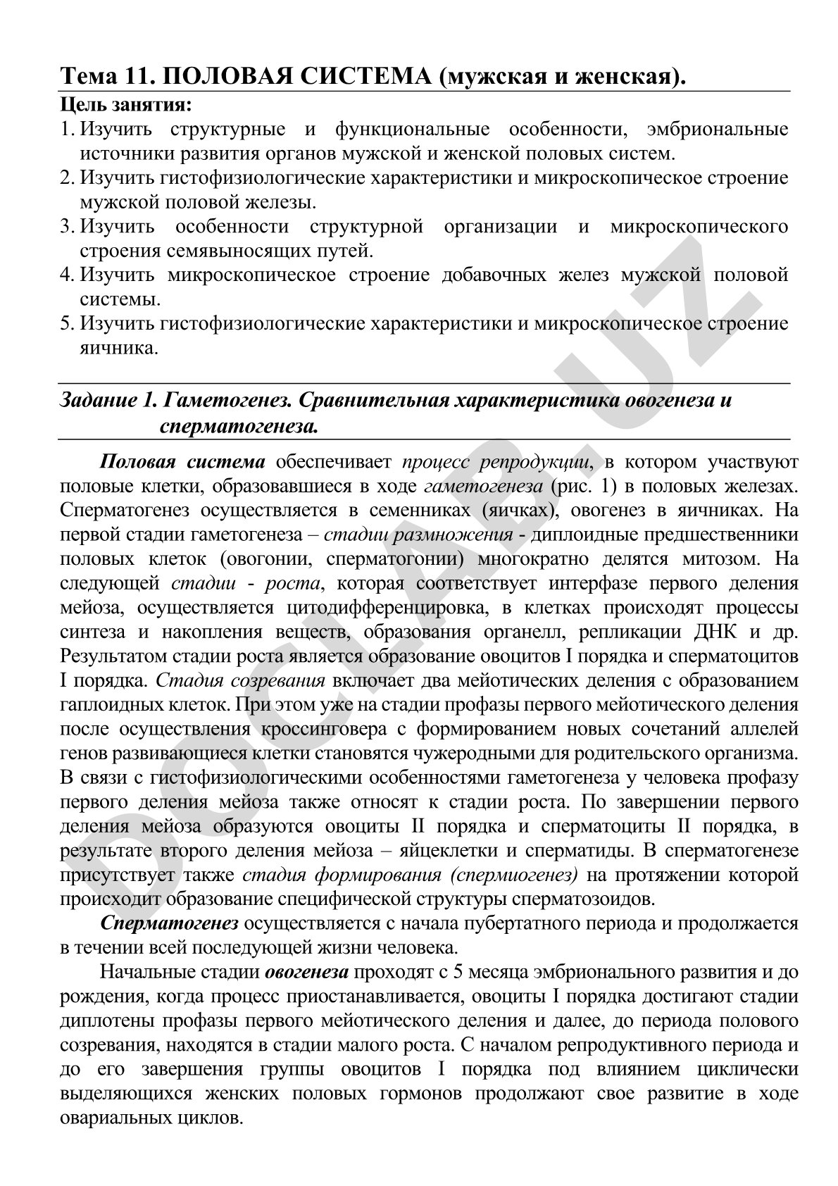 Тема 11. Половые системы мужчины и женщины