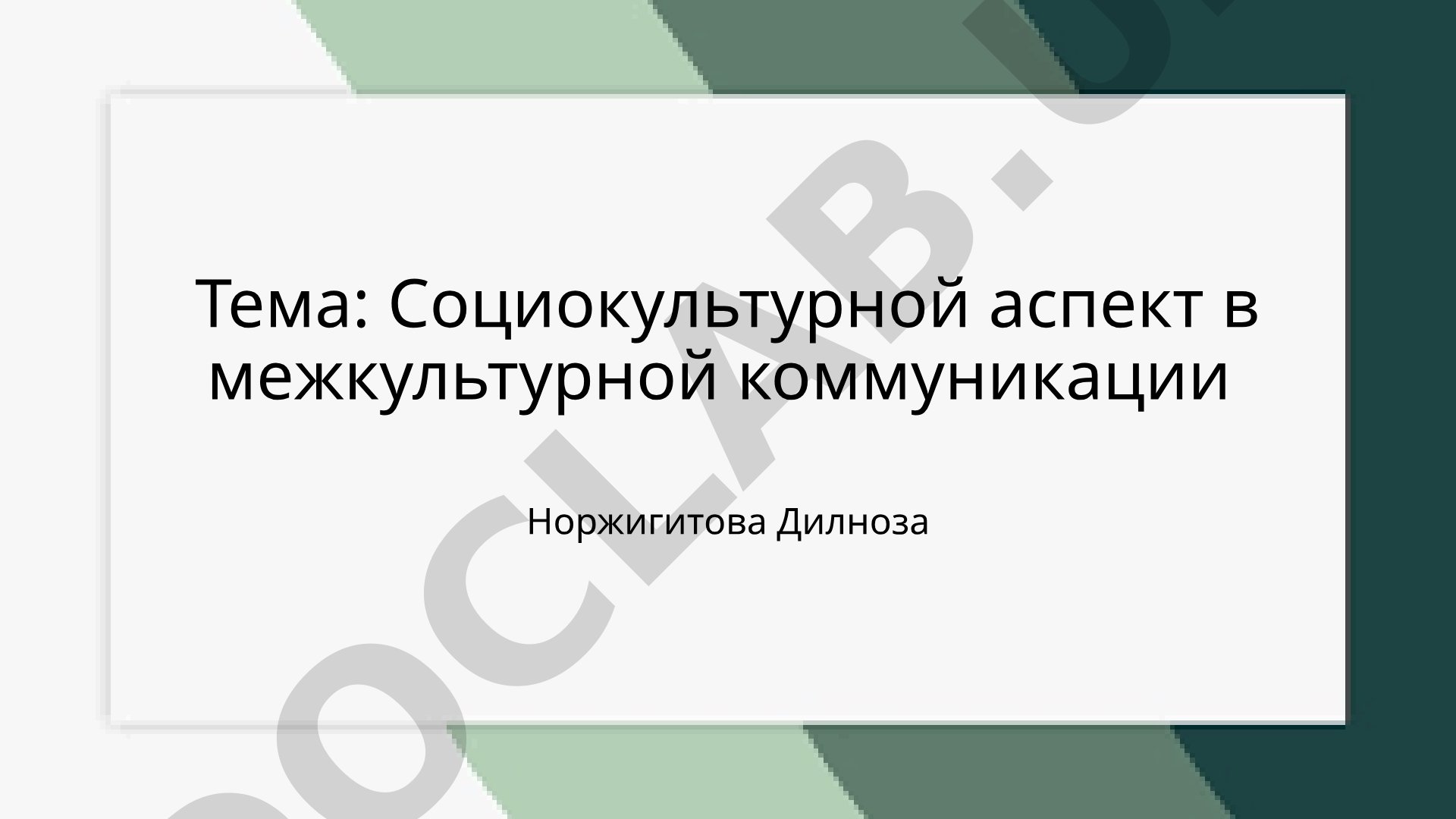 Социокультурный аспект в межкультурной коммуникации