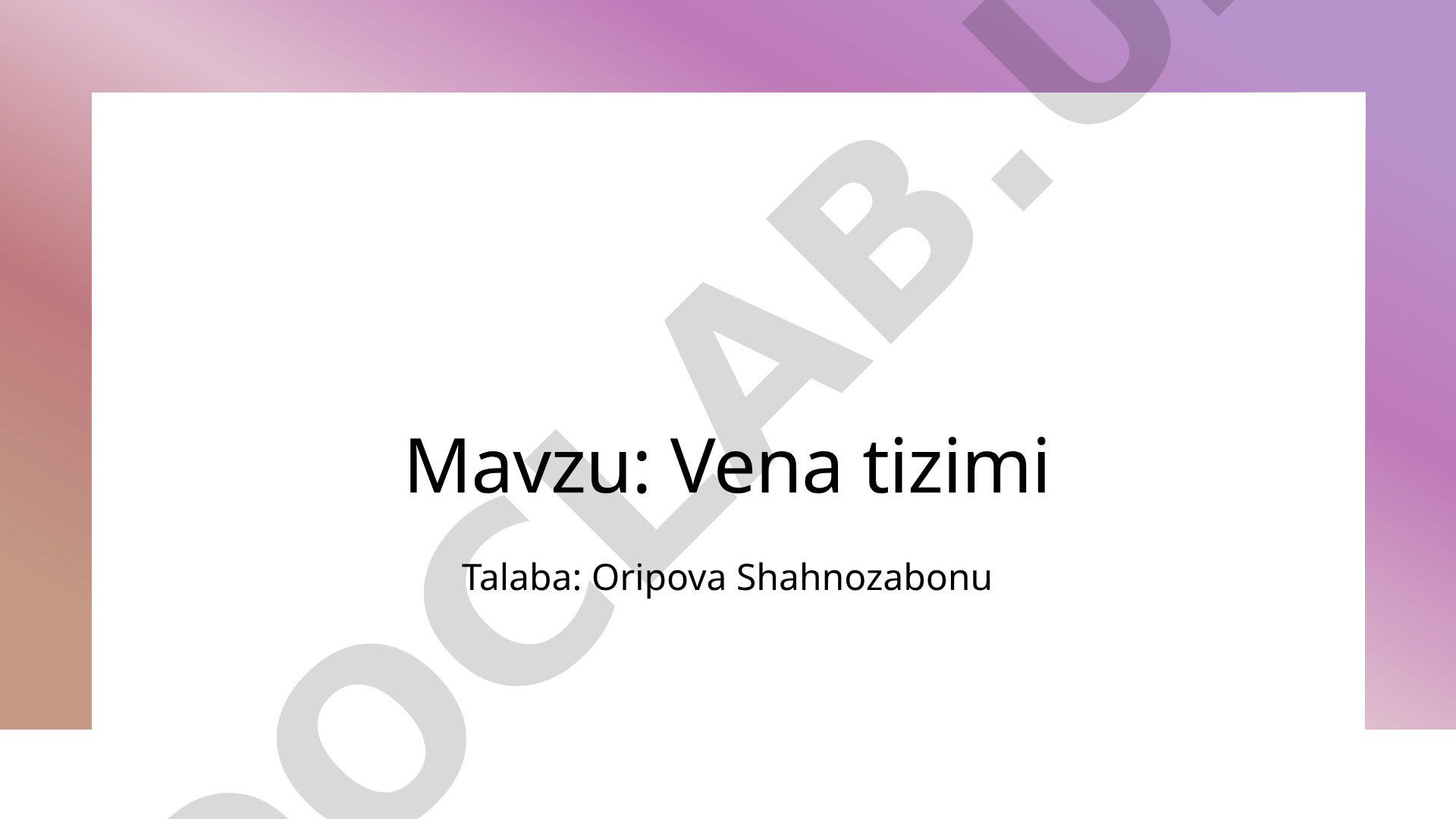 Vena tizimi