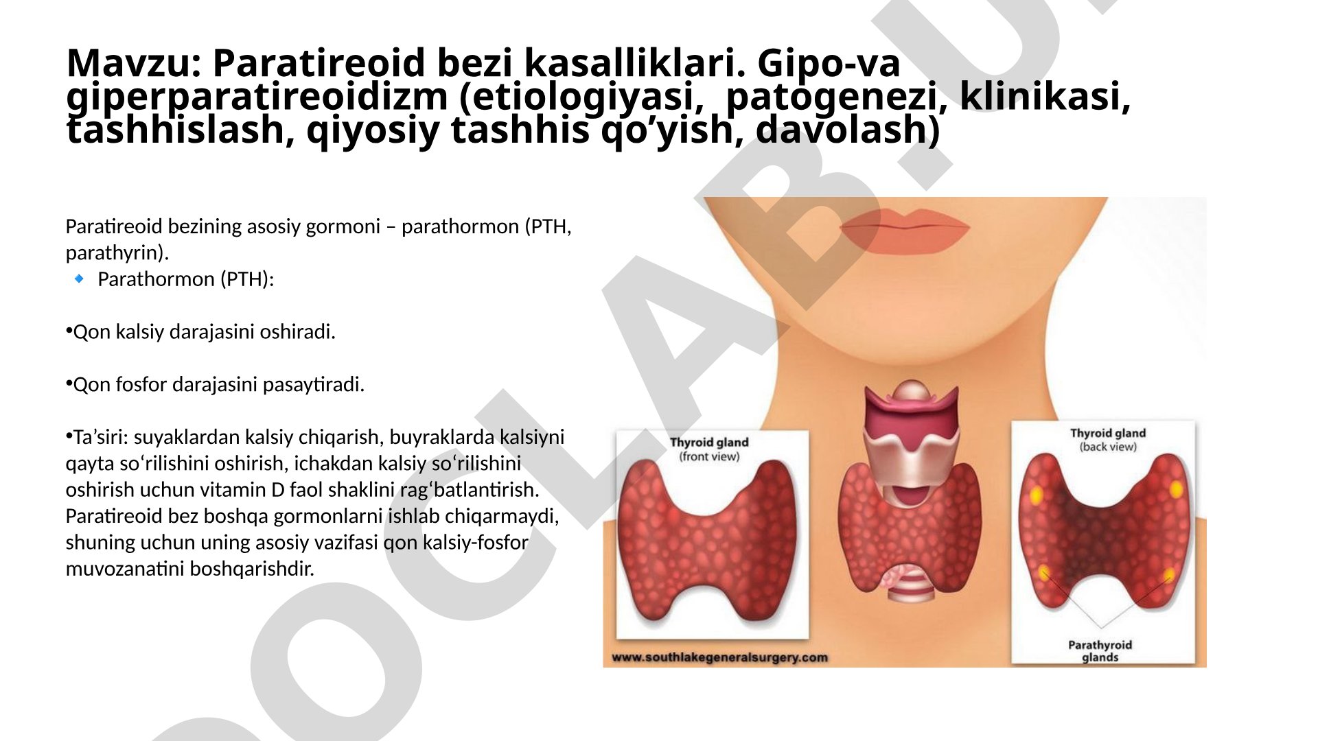 Paratireoid bezi kasalliklari. Gipo-va giperparatireoidizm