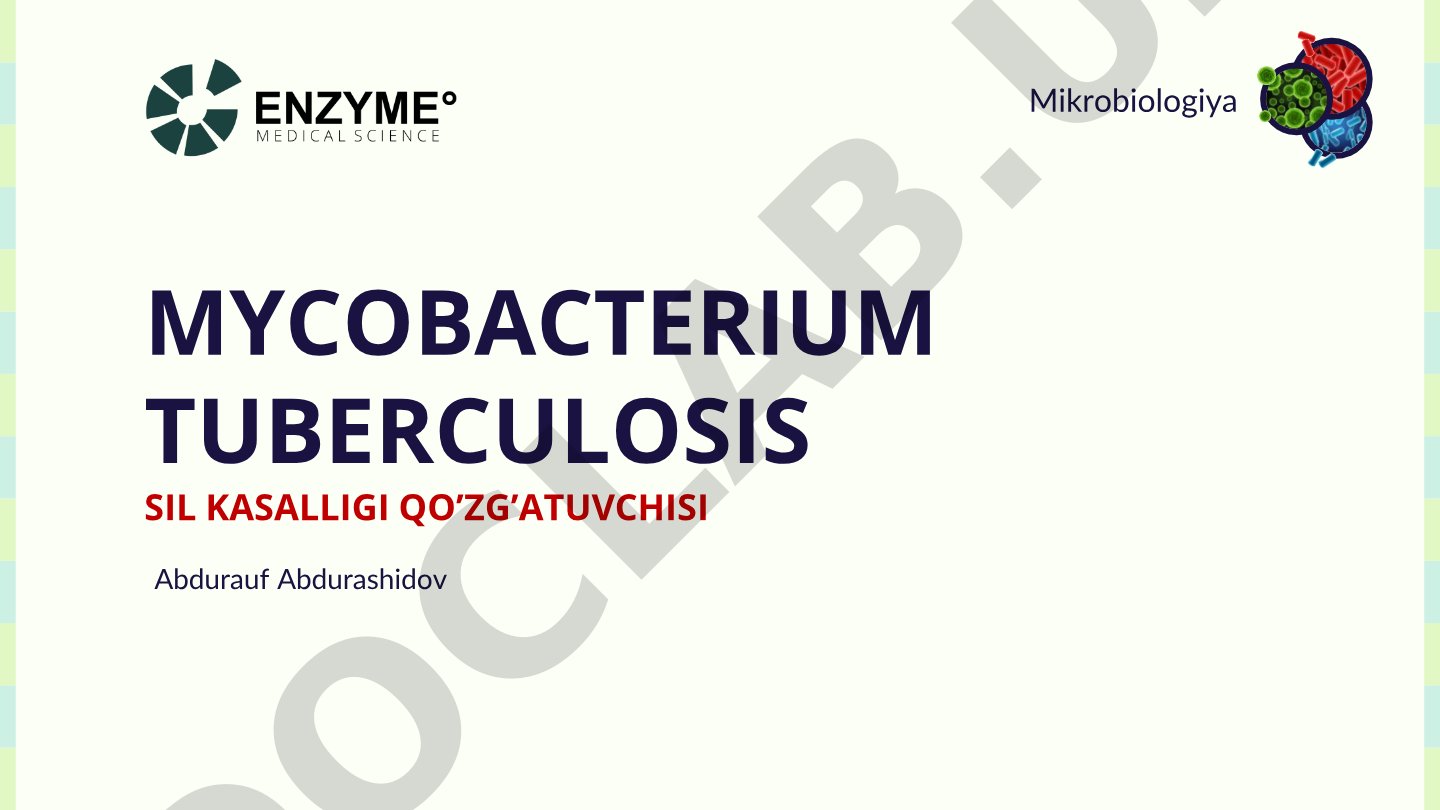 Mycobacterium tuberculosis sil kasalligi qo'zg'atuvchisi