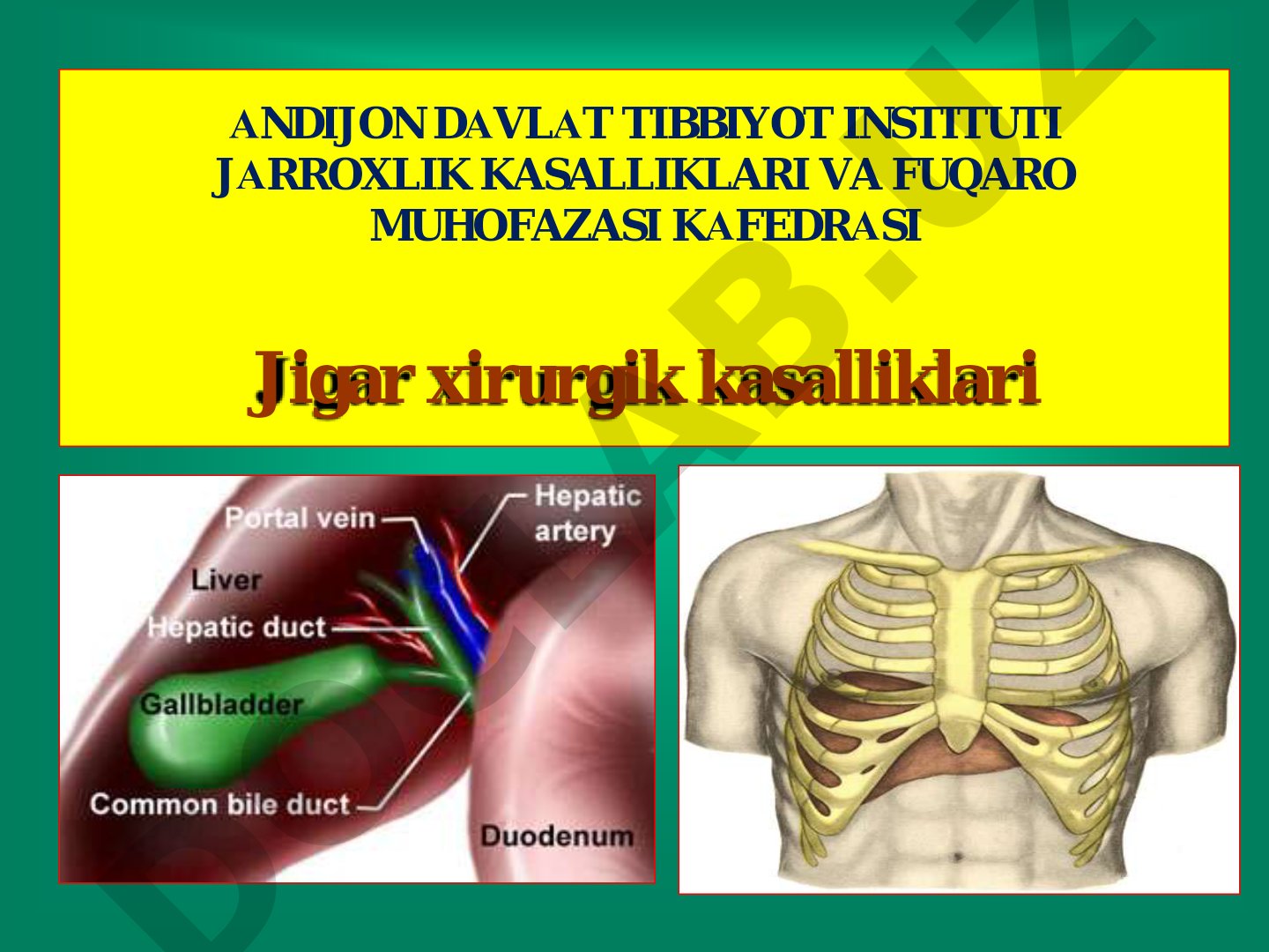 Jigar xirurgik kasalliklari va jarohatlari