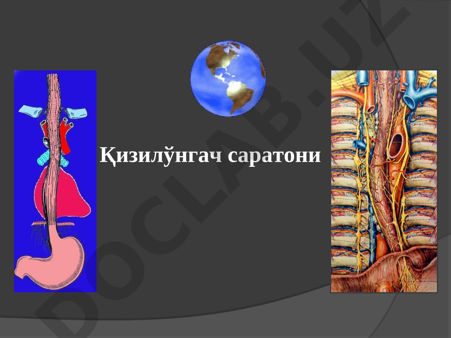 Қизилўнгач саратони эпидемиологияси