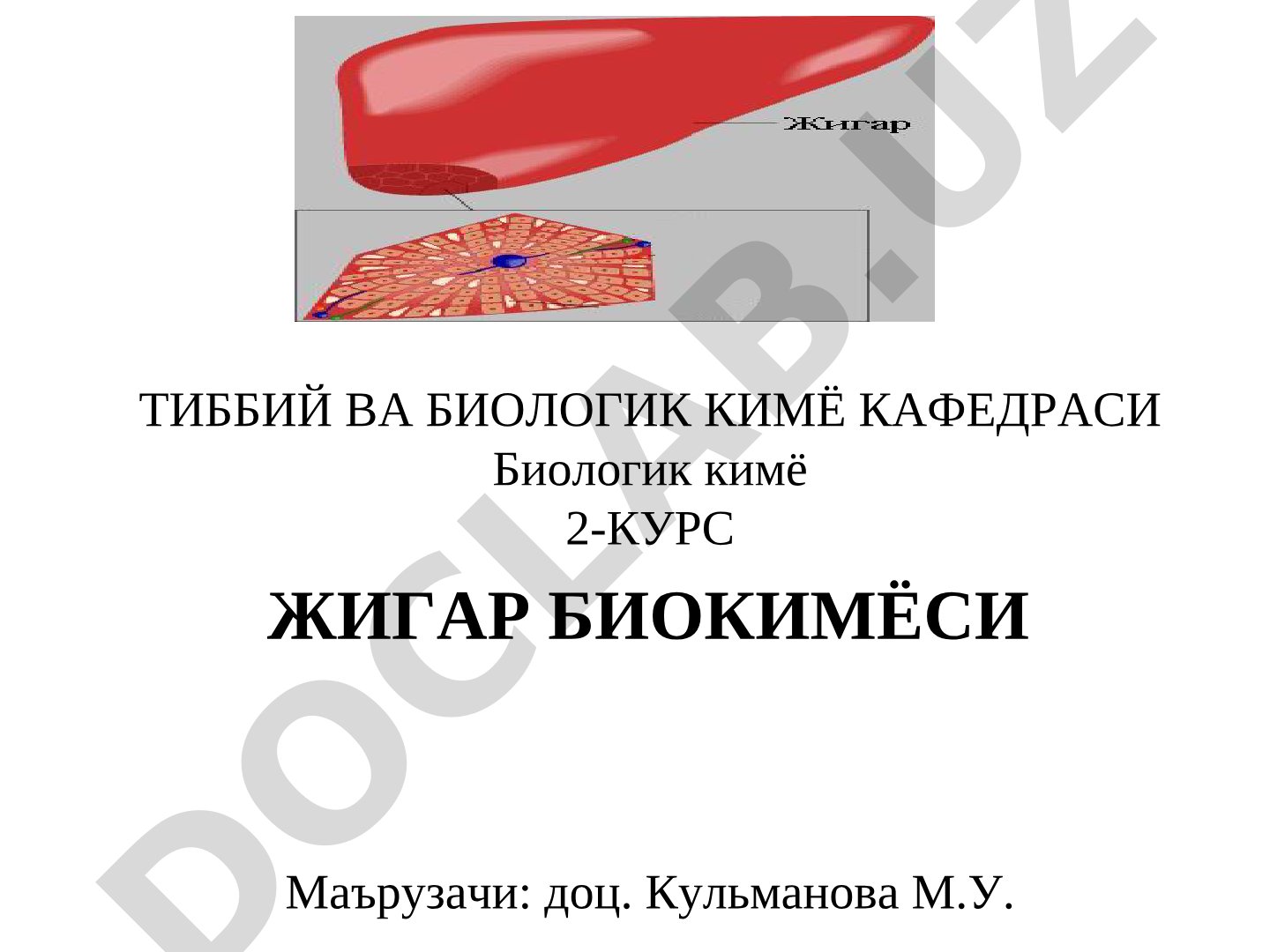 Жигар биокимёси