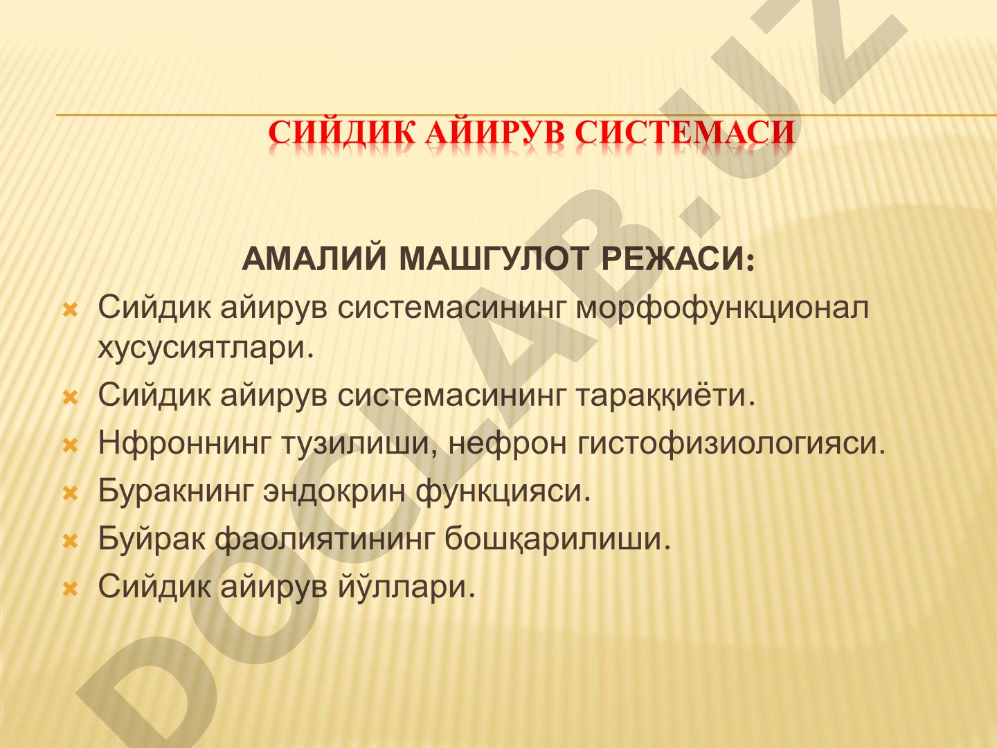 Сийдик айирув системасининг морфофункционал хусусиятлари ва нефрон тузилиши