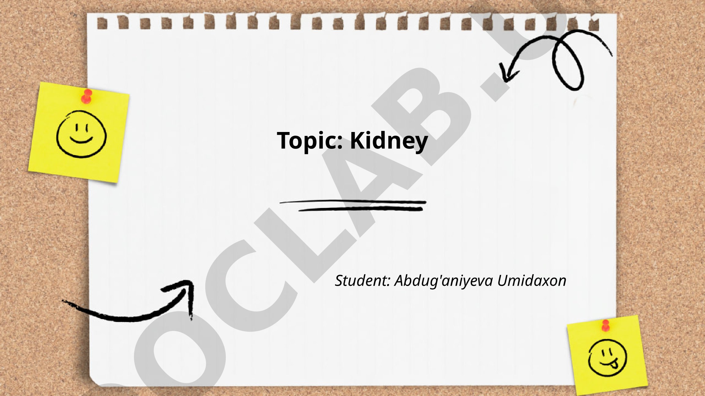 Kidney: Anatomy, Physiology, and Chronic Kidney Disease