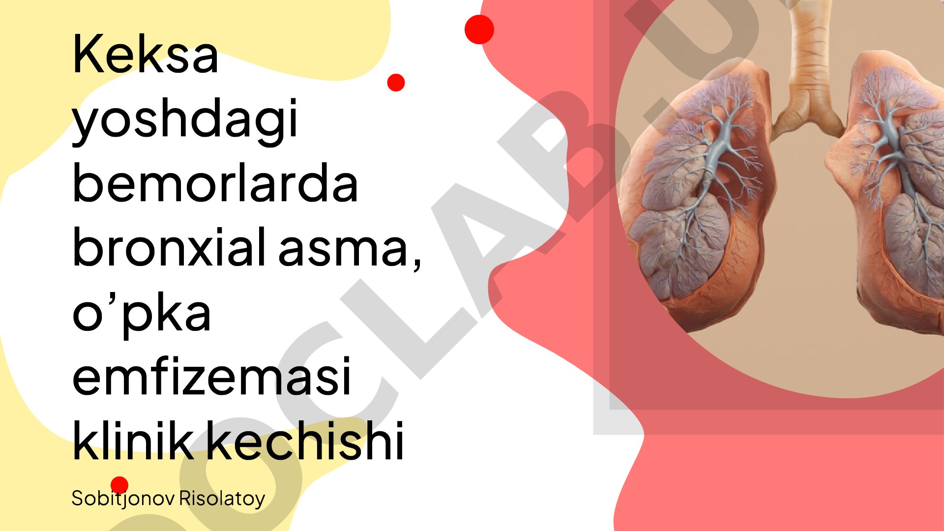 Keksa yoshdagi bemorlarda bronxial asma, o'pka emfizemasi klinik kechishi
