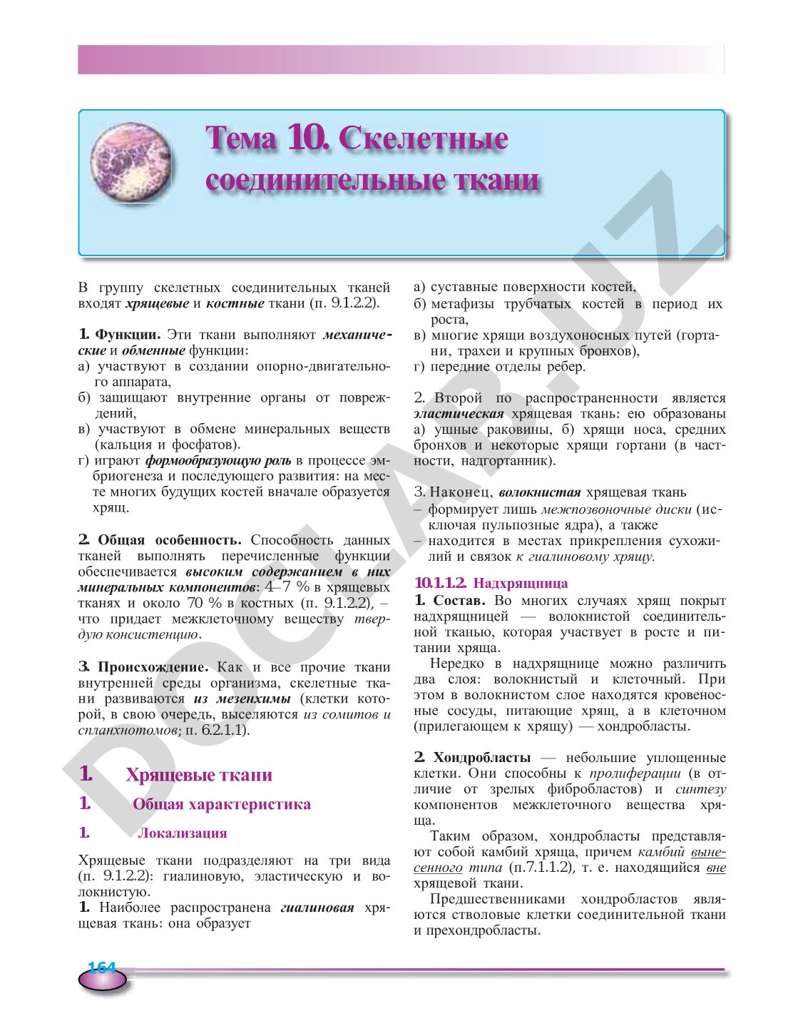 Скелетные соединительные ткани: хрящевые и костные ткани