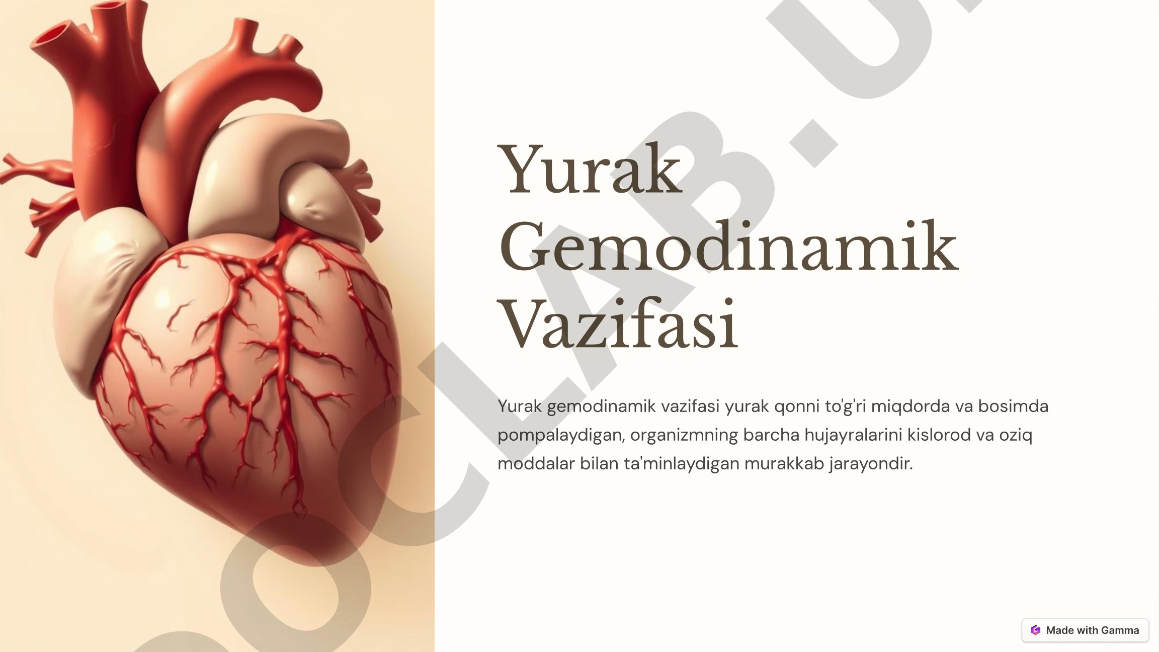 Yurak gemodinamik vazifasi