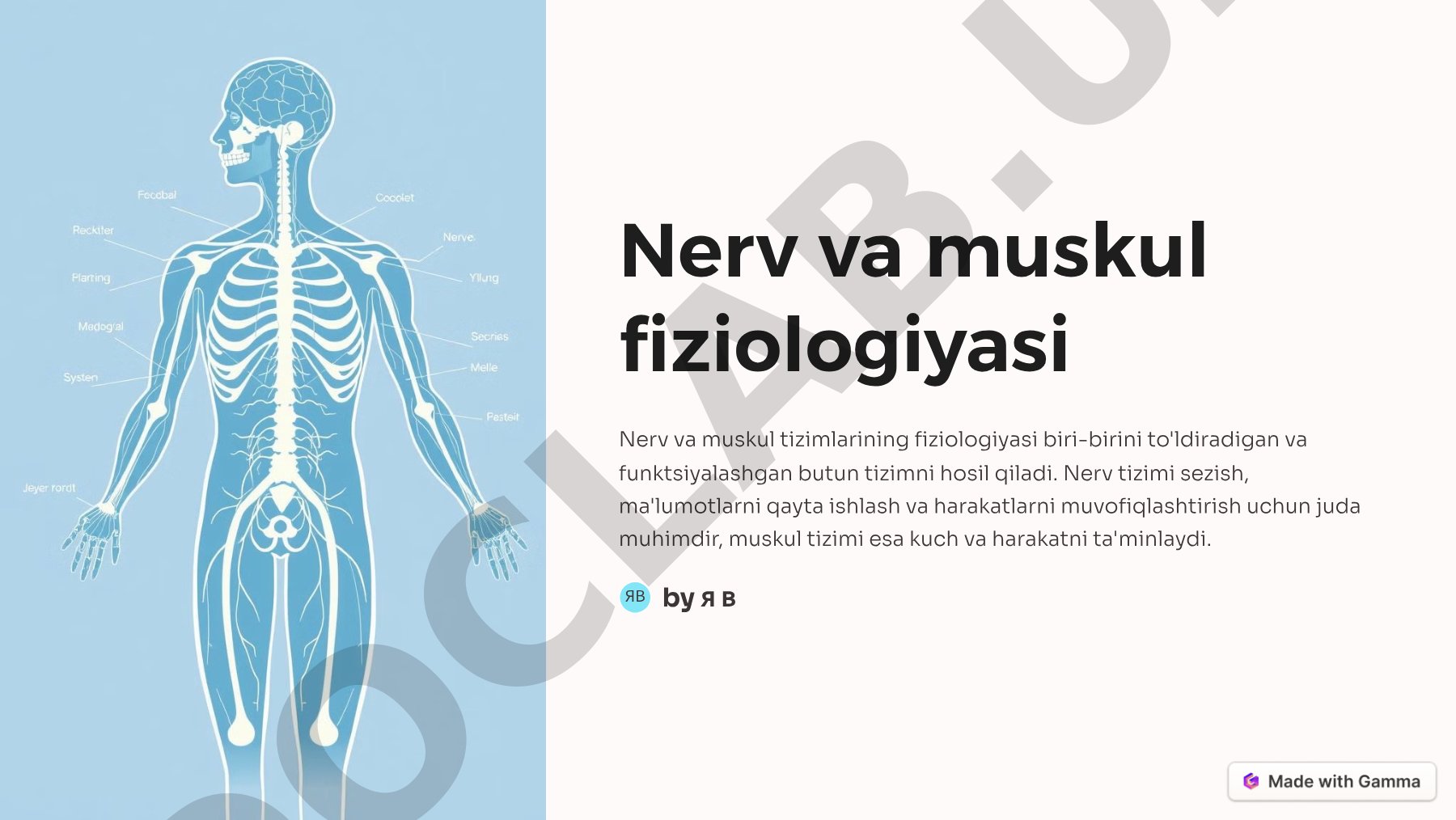 Nerv va muskul fiziologiyasi