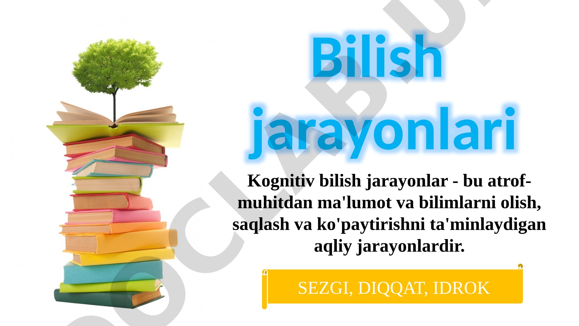 Bilish jarayonlari: sezgi, diqqat, idrok
