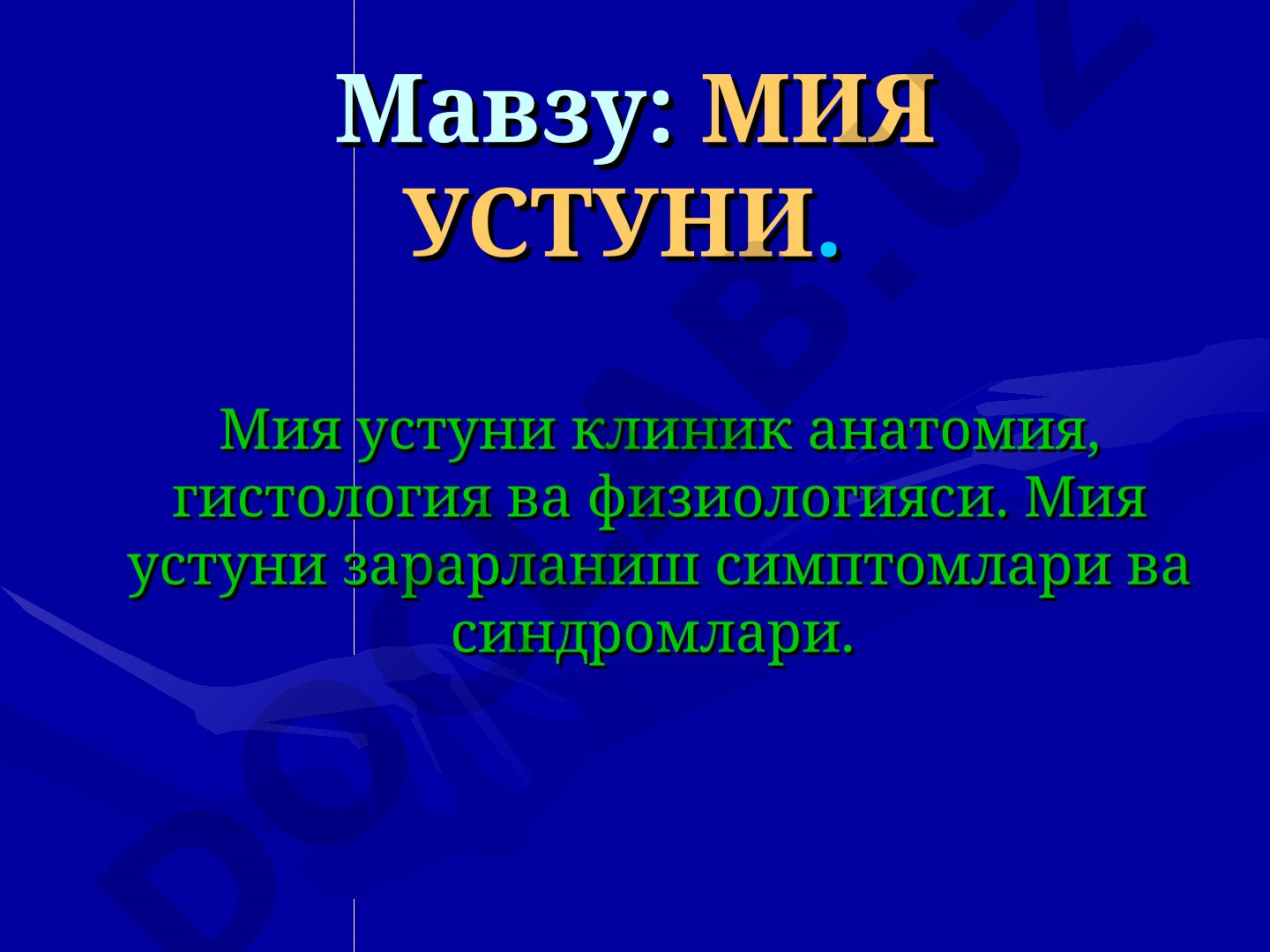 Мия устуни клиник анатомия, гистология ва физиологияси