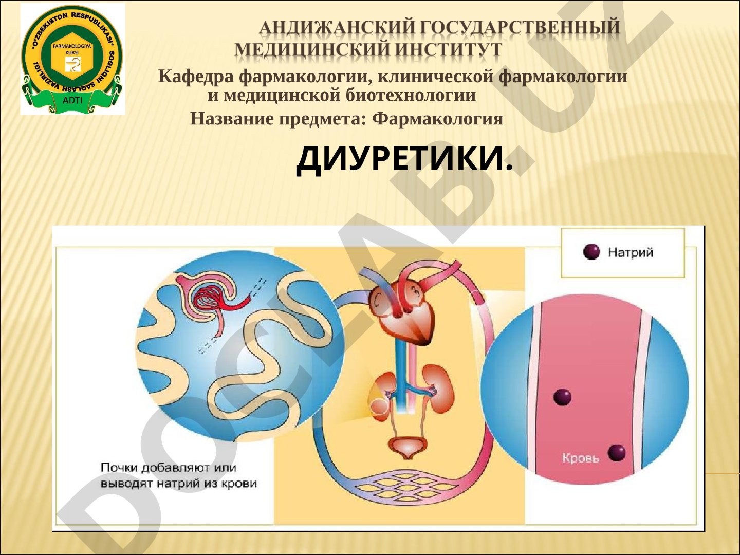Диуретики и их классификация по механизму действия