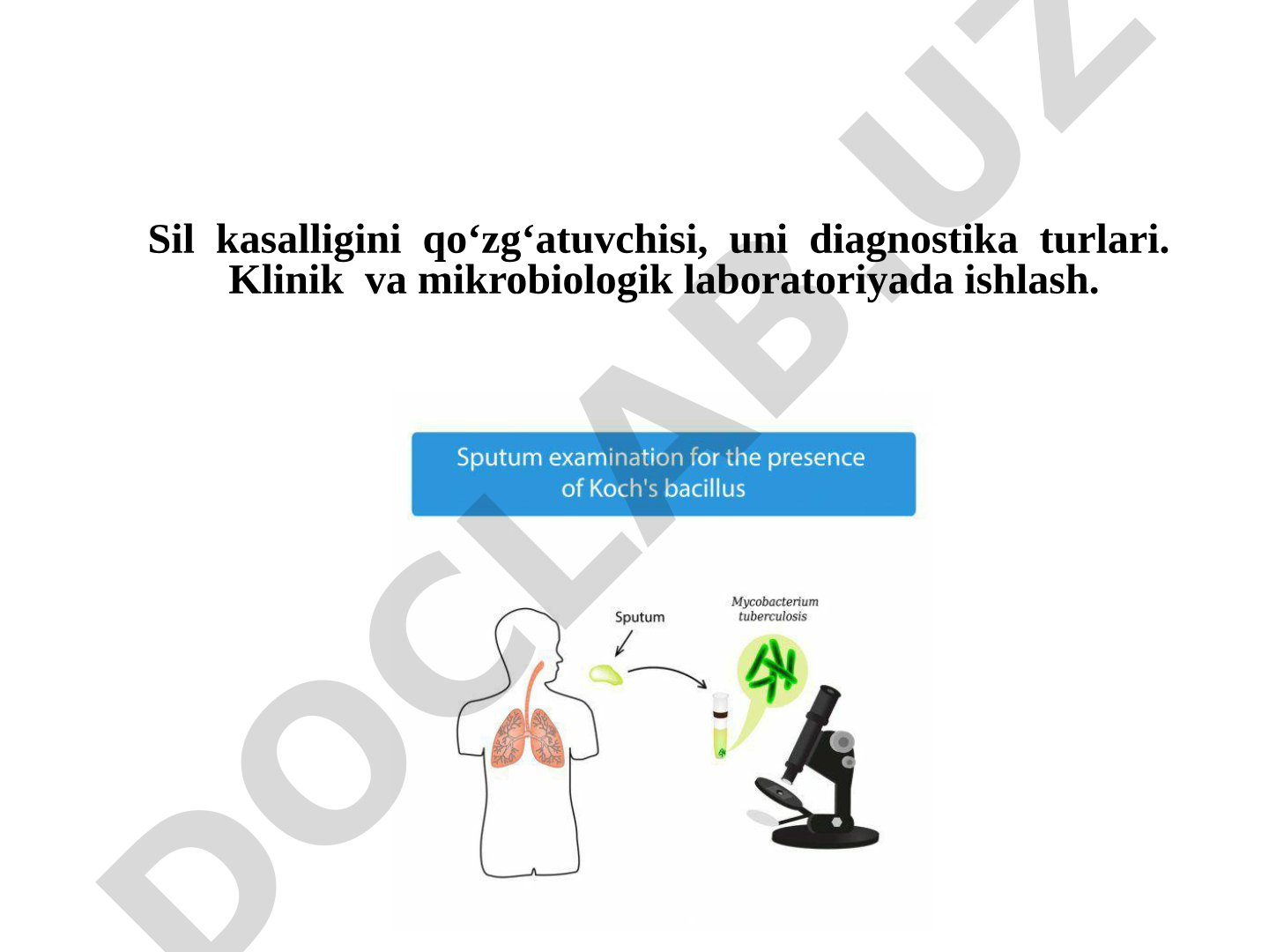 Sil kasalligini qo'zg'atuvchisi va diagnostika turlari