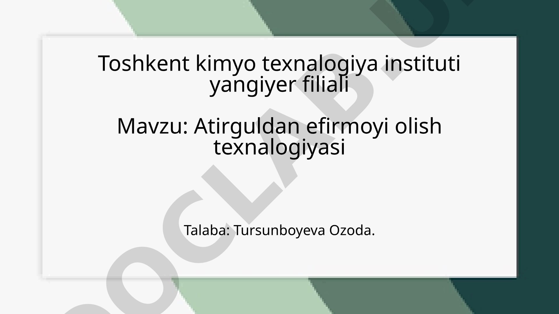 Atirguldan efir moyi olish texnologiyasi