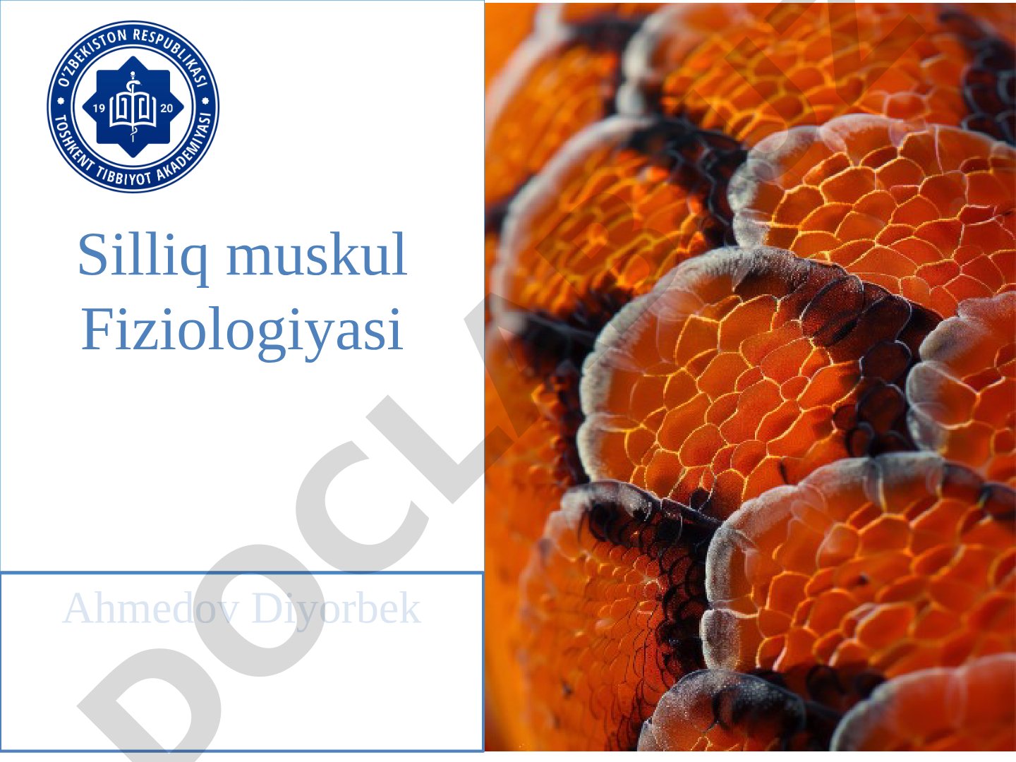 Silliq muskul fiziologiyasi