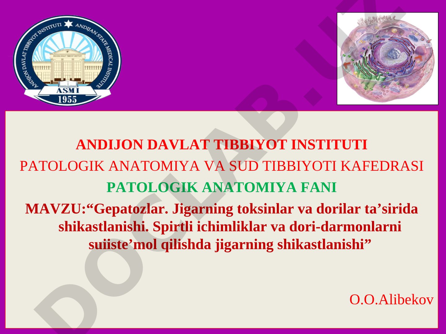 Gepatozlar. Jigarning toksinlar va dorilar ta'sirida shikastlanishi. Spirtli ichimliklar va dori-darmonlarni suiiste'mol qilishda jigarning shikastlanishi