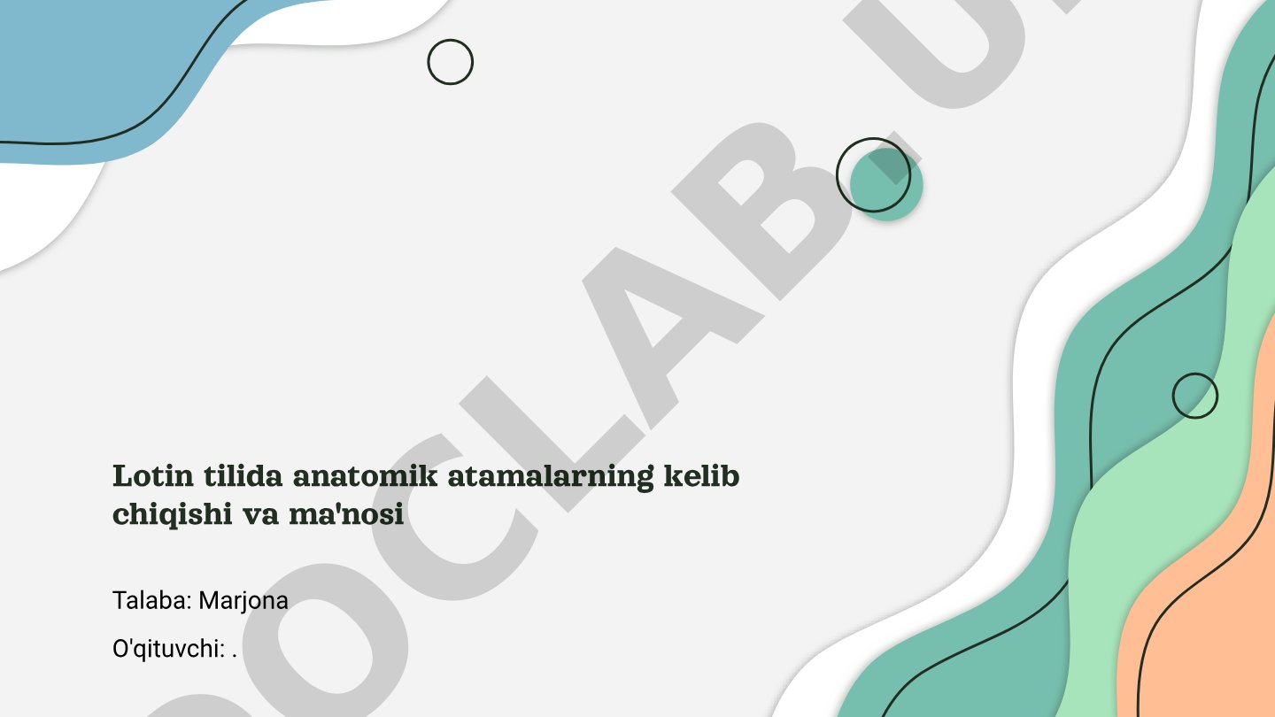 Lotin tilida anatomik atamalarning kelib chiqishi va ma'nosi