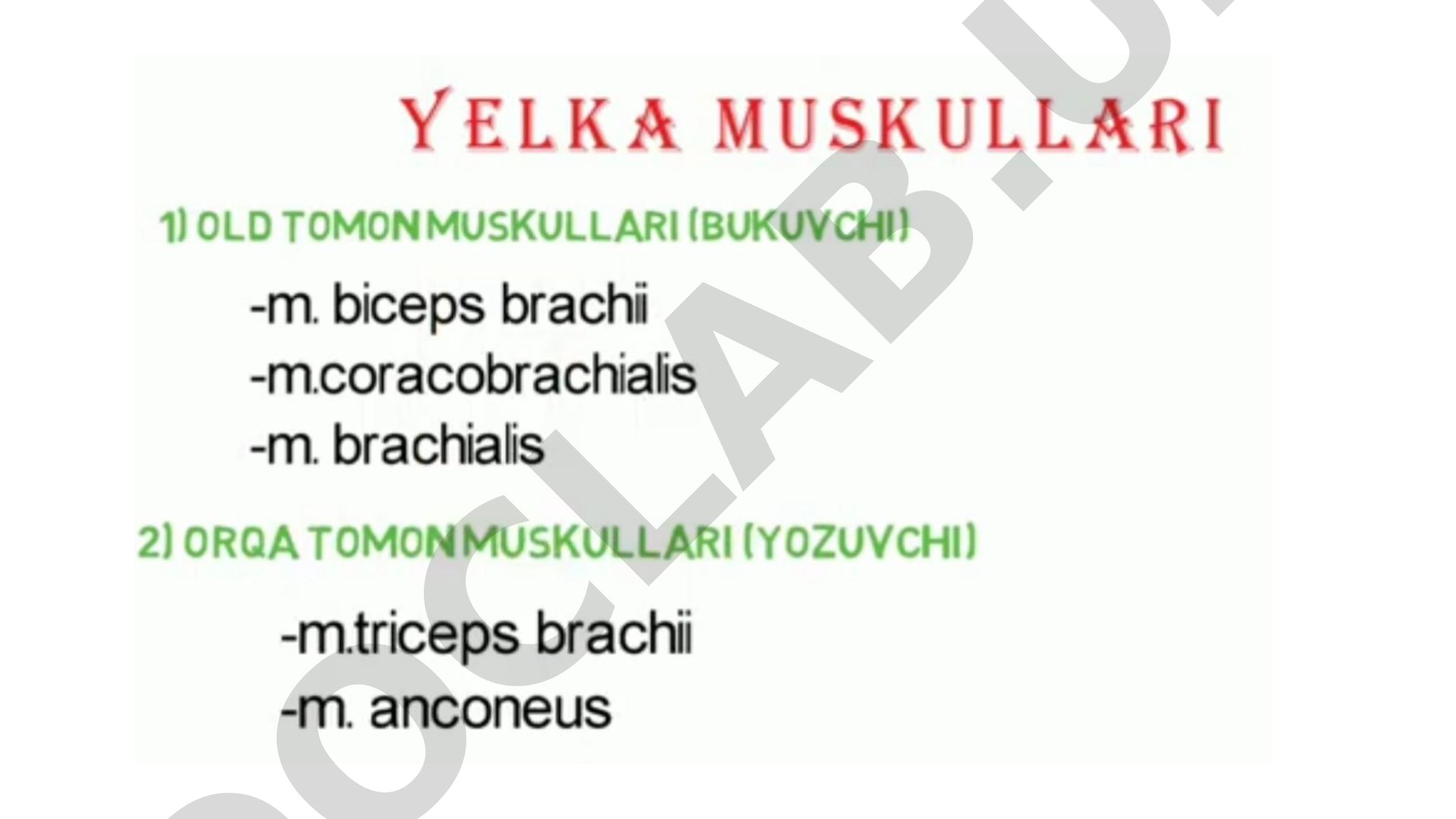 Raqamli iqtisodiyotning asosiy tushunchalari va rivojlanish tendensiyalari