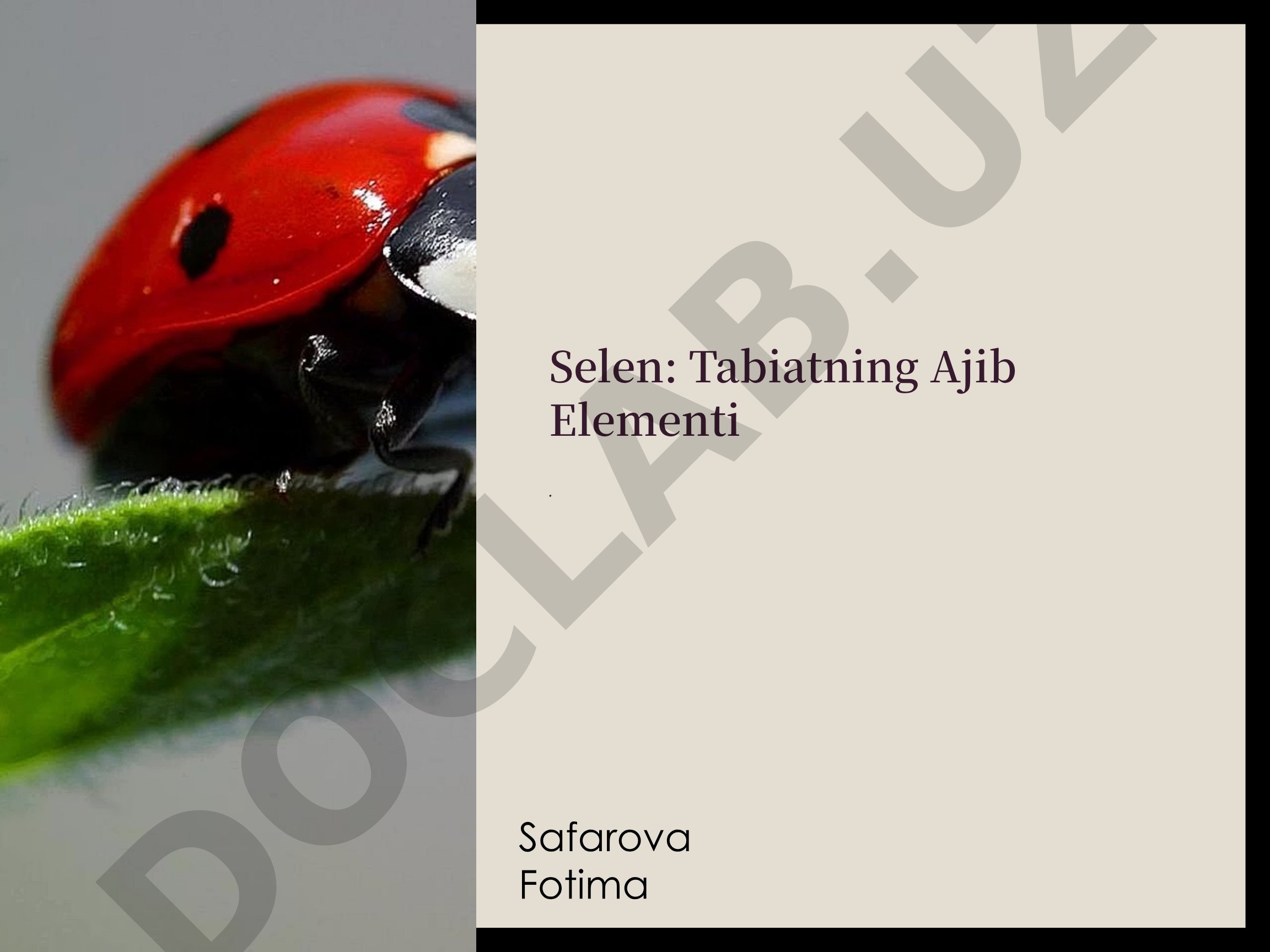 Selen: Tabiatning Ajib Elementi