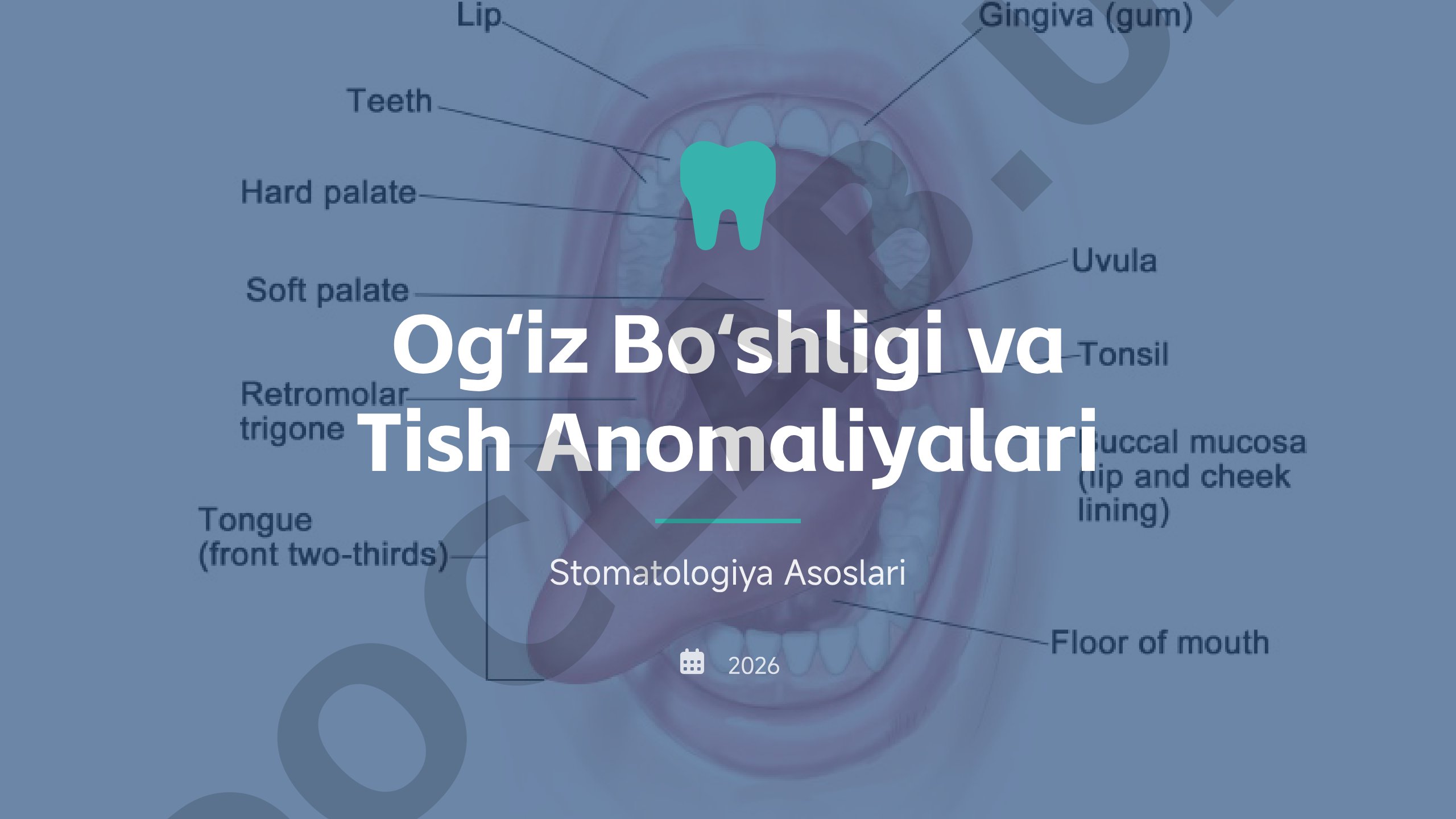 Ogʻiz Boʻshligi va Tish Anomaliyalari Stomatologiya Asoslari