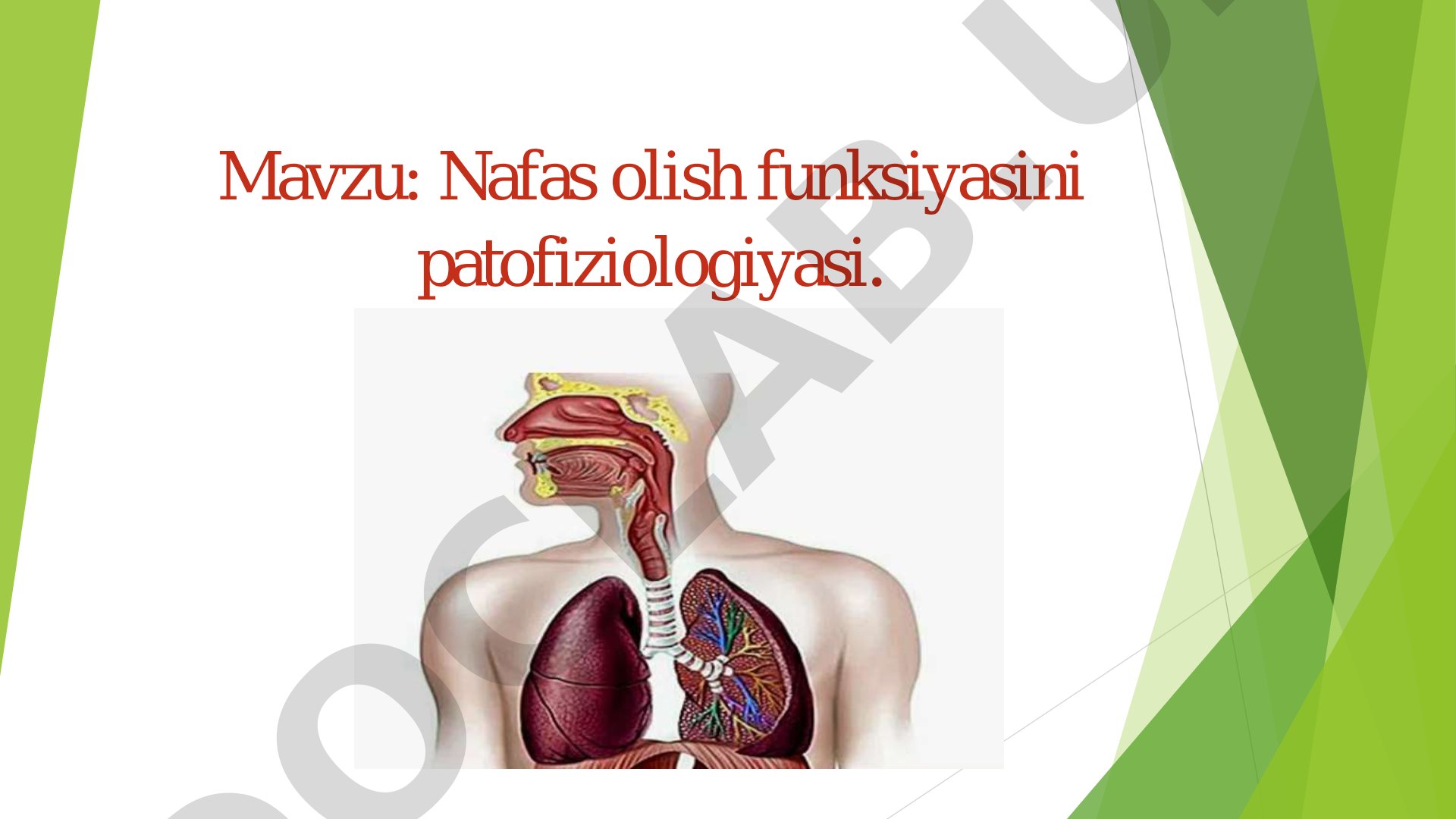 Nafas olish funksiyasini patofiziologiyasi