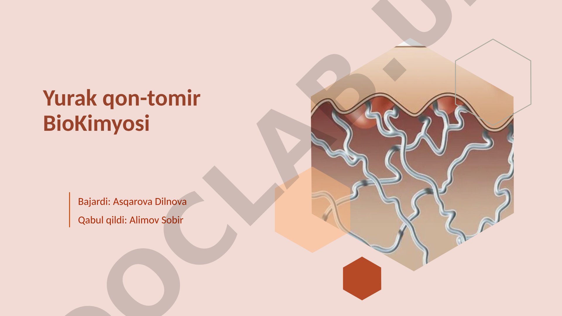 Yurak qon-tomir biokimyosi