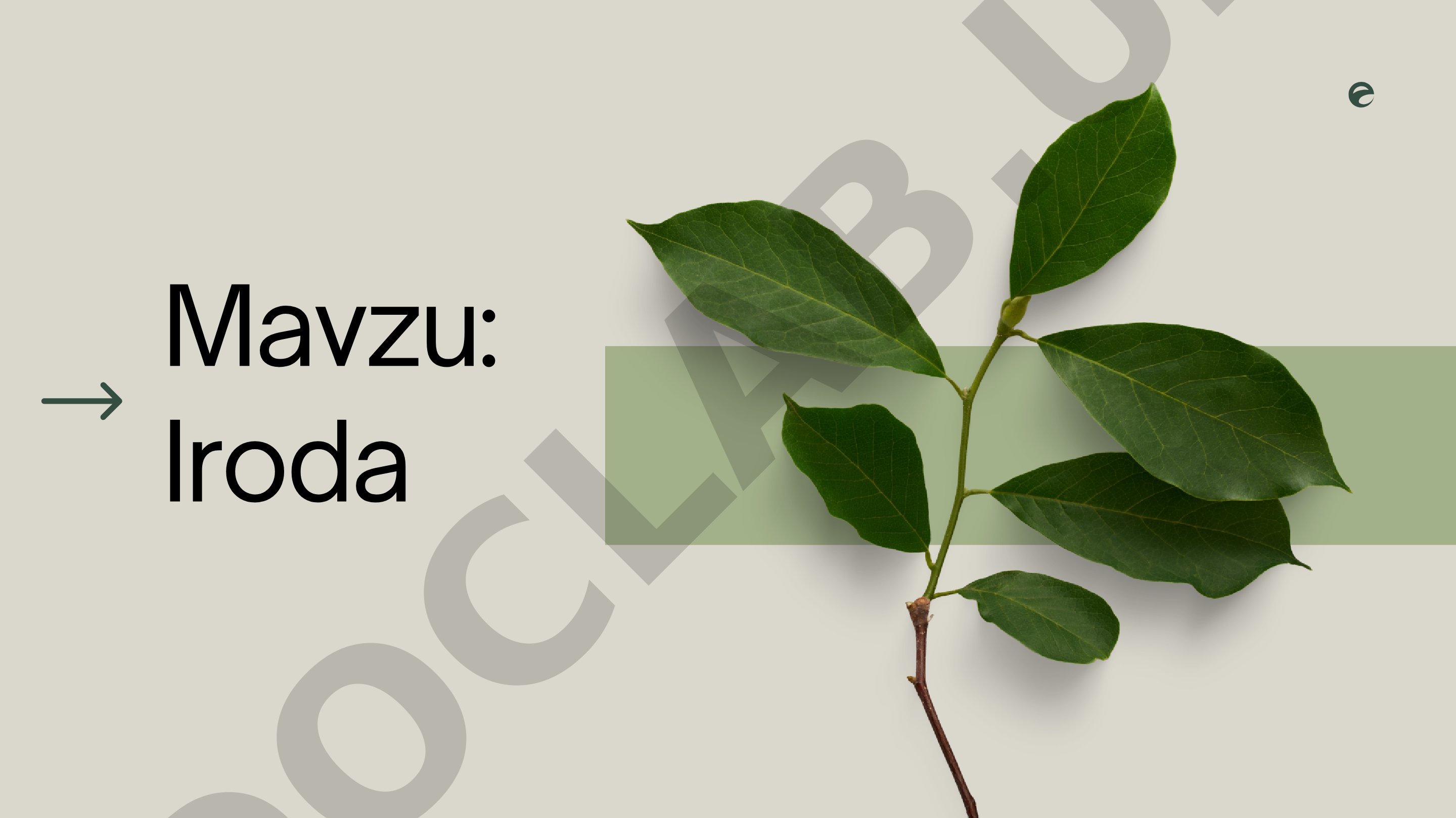 Iroda tushunchasining psixologik ta'riflari va bosqichlari