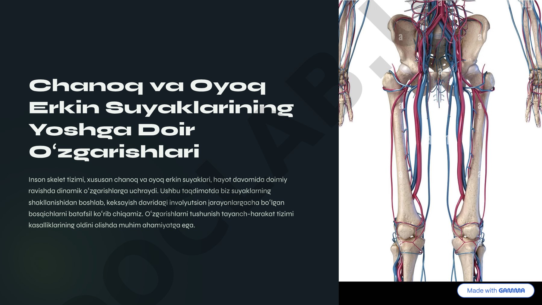 Chanoq va oyoq erkin suyaklarining yoshga doir o'zgarishlari