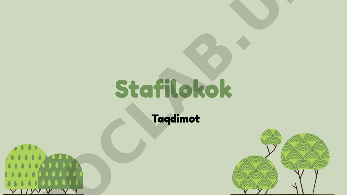 Stafilokok bakteriyalarining morfologik tuzilishi va xossalari