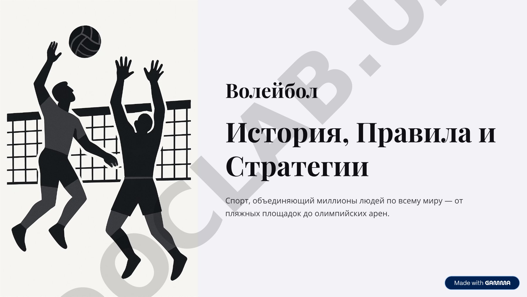 Волейбол: история, правила и позиции игроков