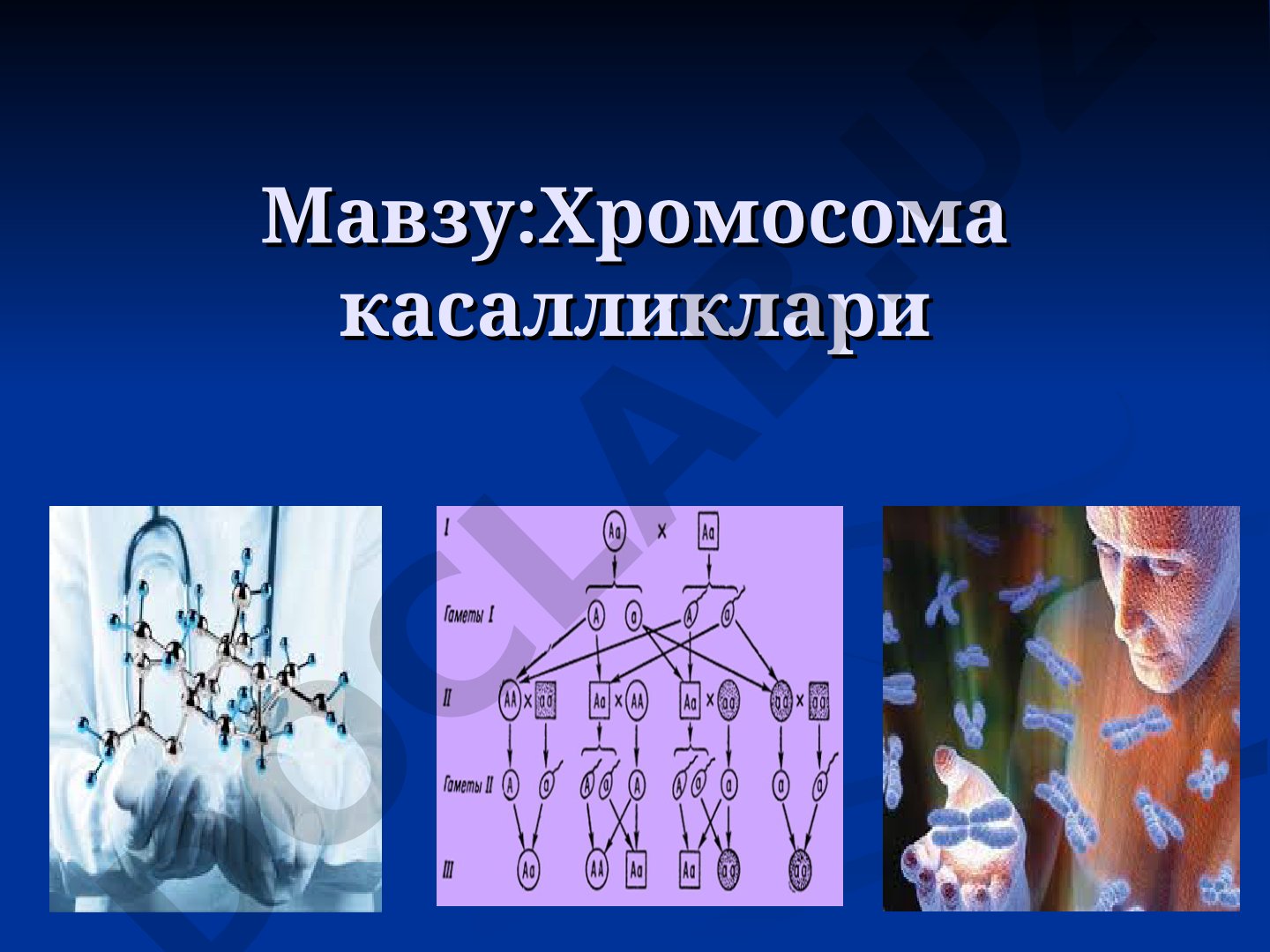 Хромосома касалликлари
