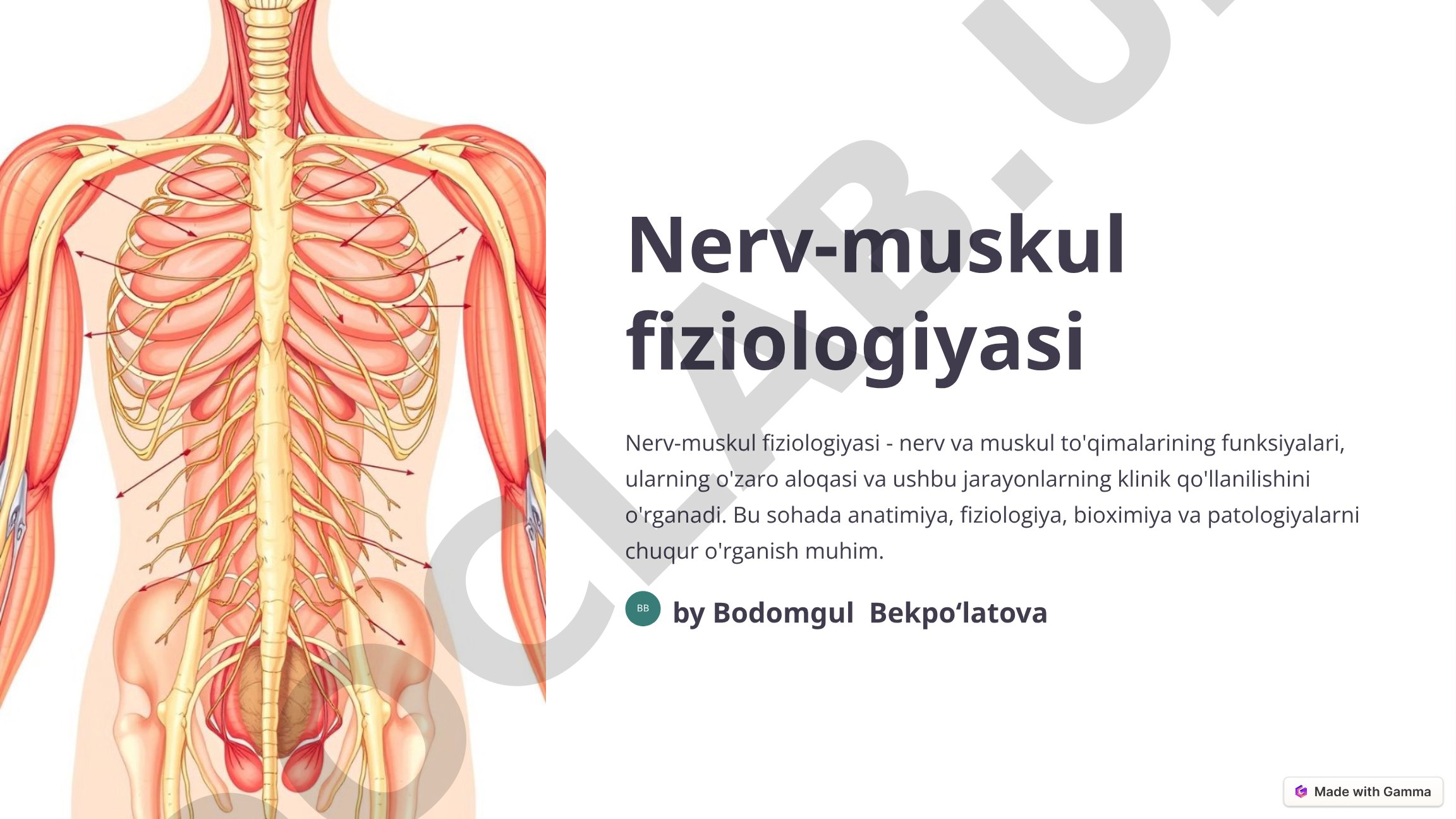Nerv-muskul fiziologiyasi
