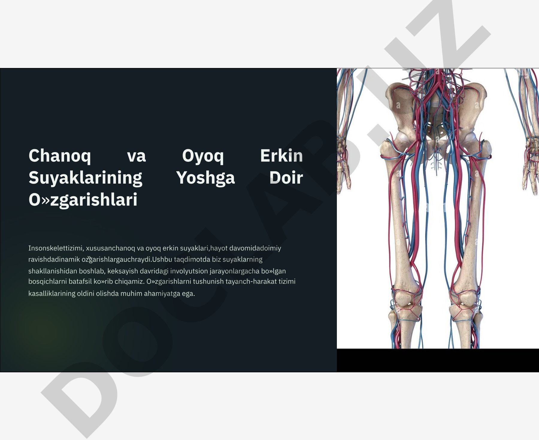 Chanoq va Oyoq Erkin Suyaklarining Yoshga Doir O'zgarishlari