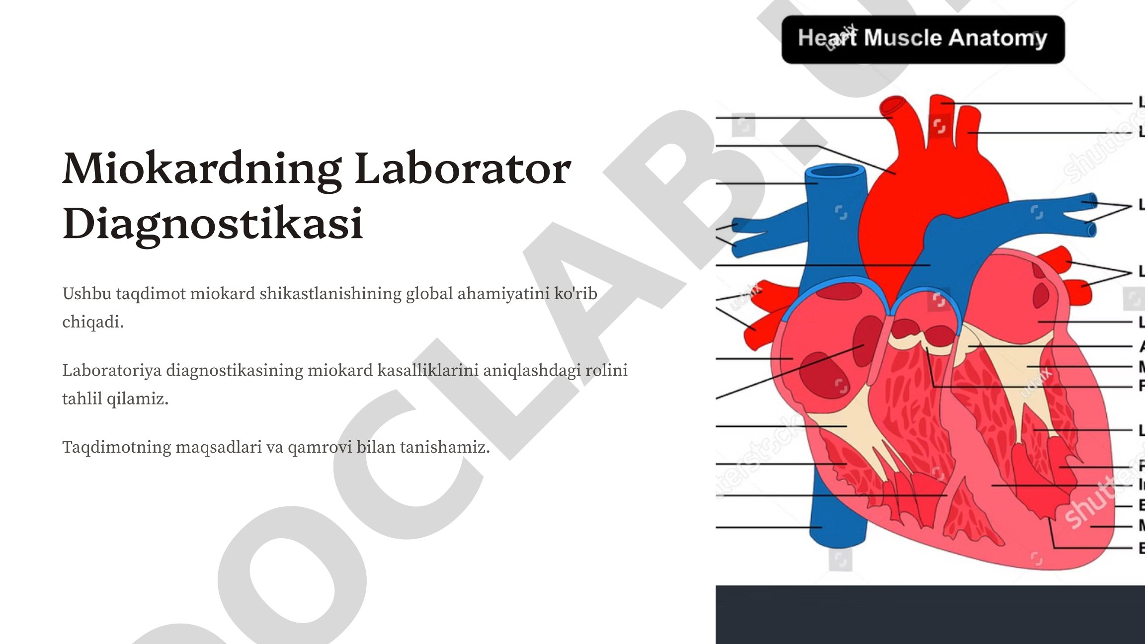 Miokardning Laborator Diagnostikasi