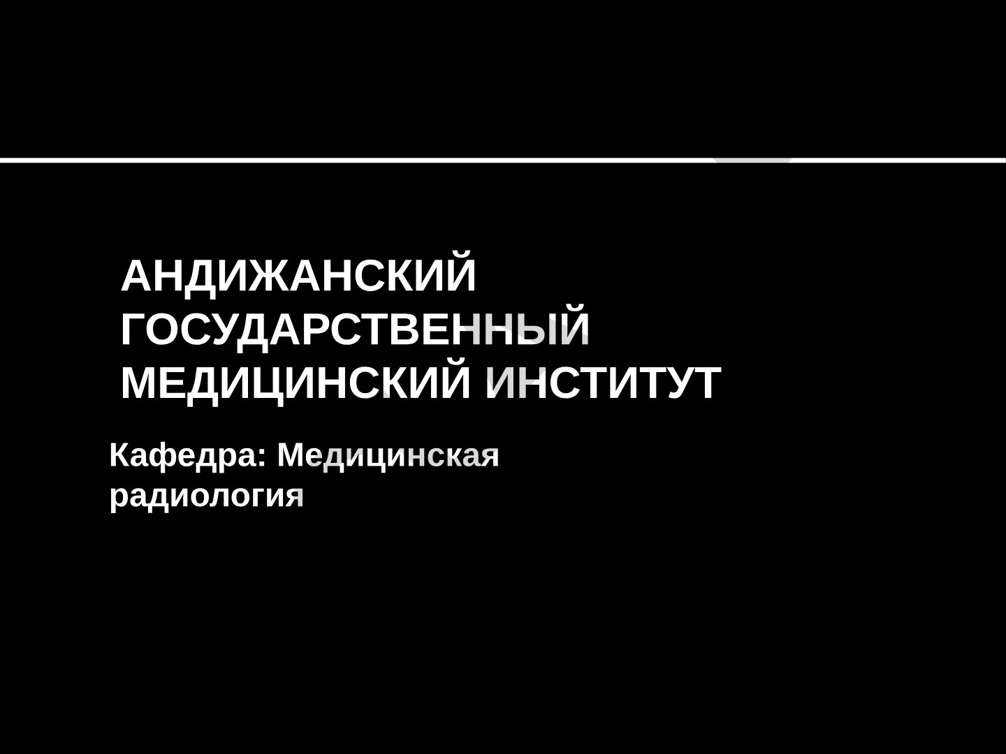 Медицинская радиология: анатомия почек и методы диагностики
