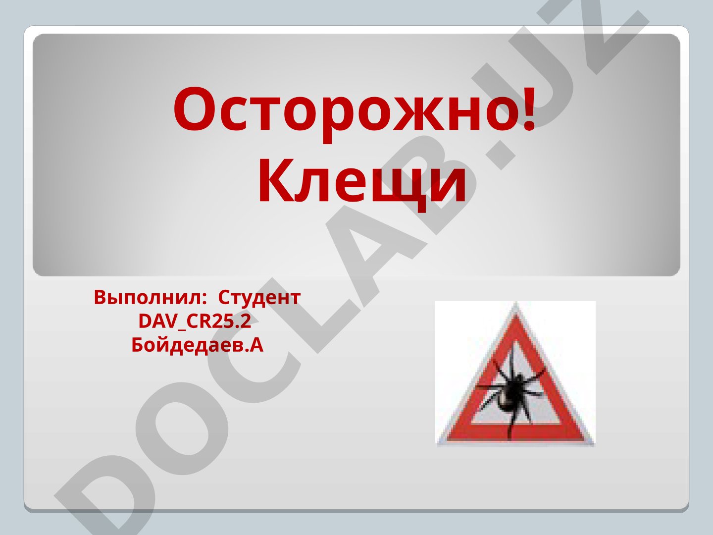 Клещи: строение, классификация и значение в природе