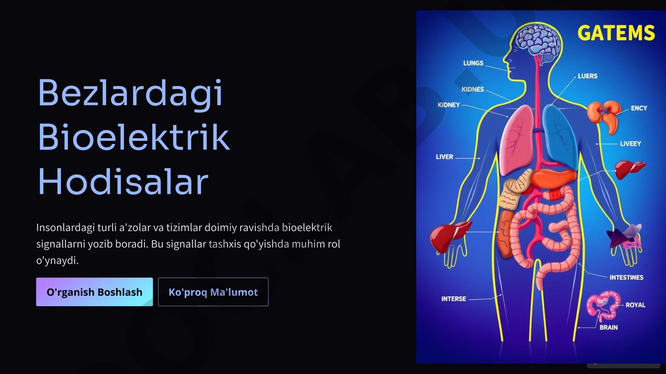 Bezlardagi Bioelektrik Hodisalar