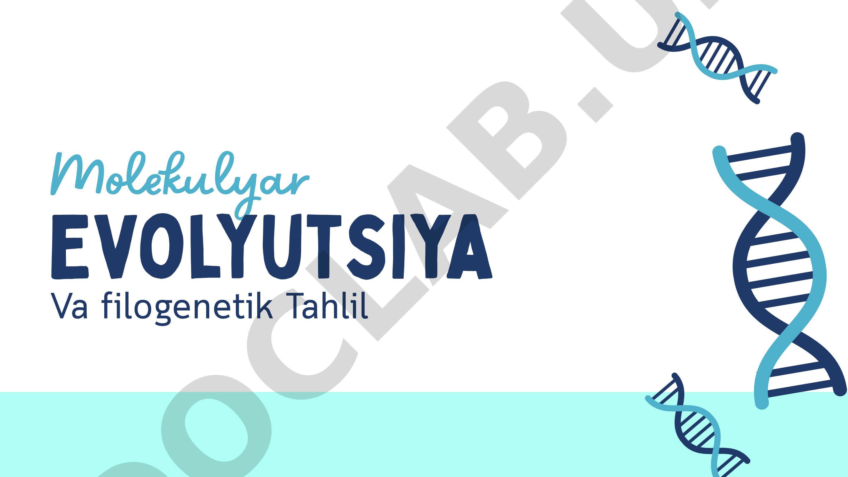 Molekulyar evolyutsiya va filogenetik tahlil