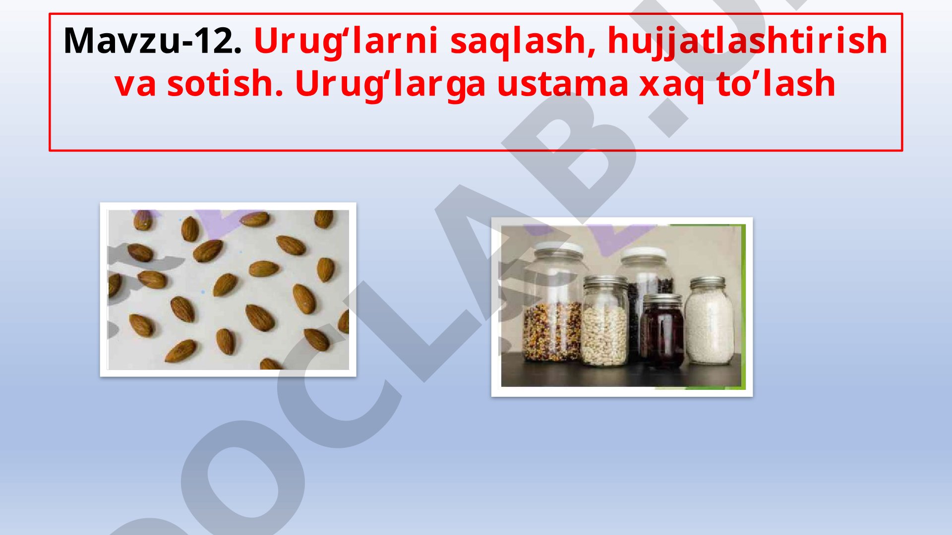 Urug'larni saqlash, hujjatlashtirish va sotish