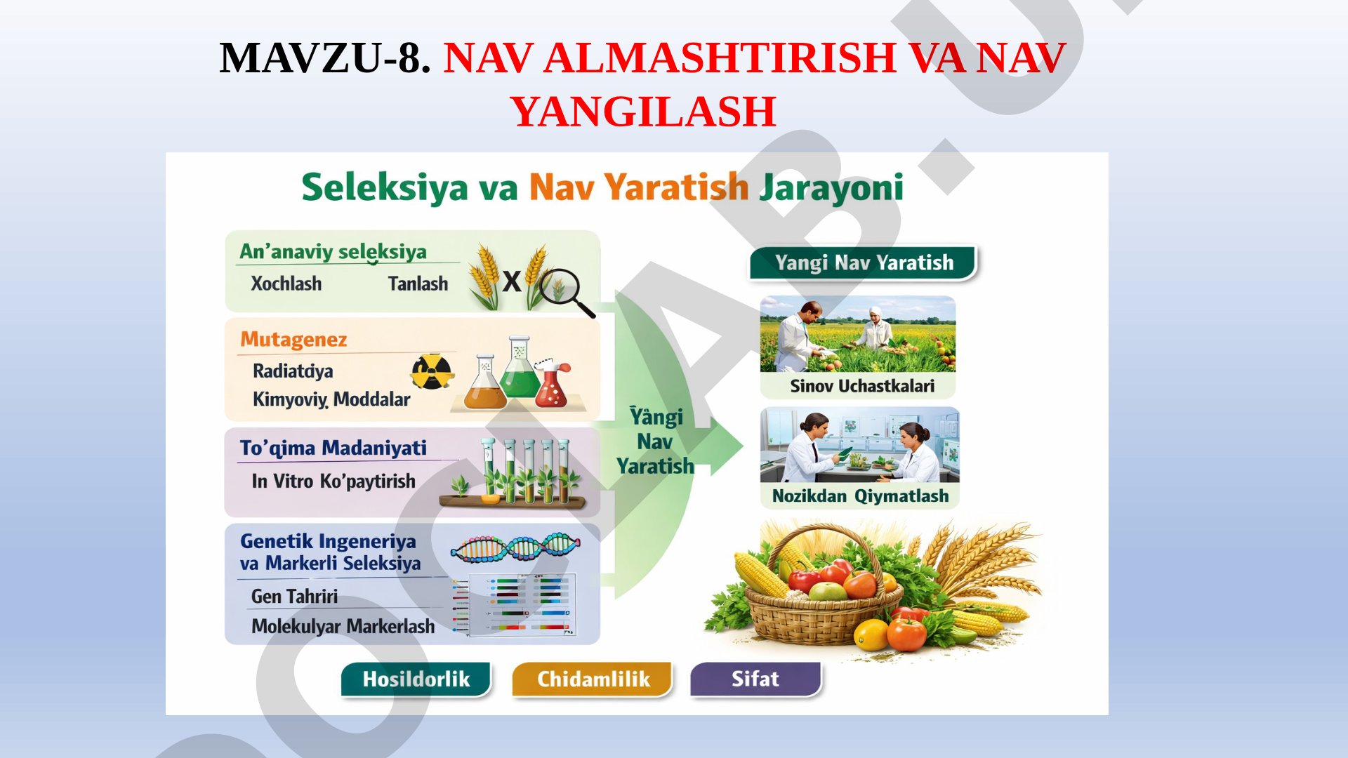 Nav almashtirish va nav yangilash